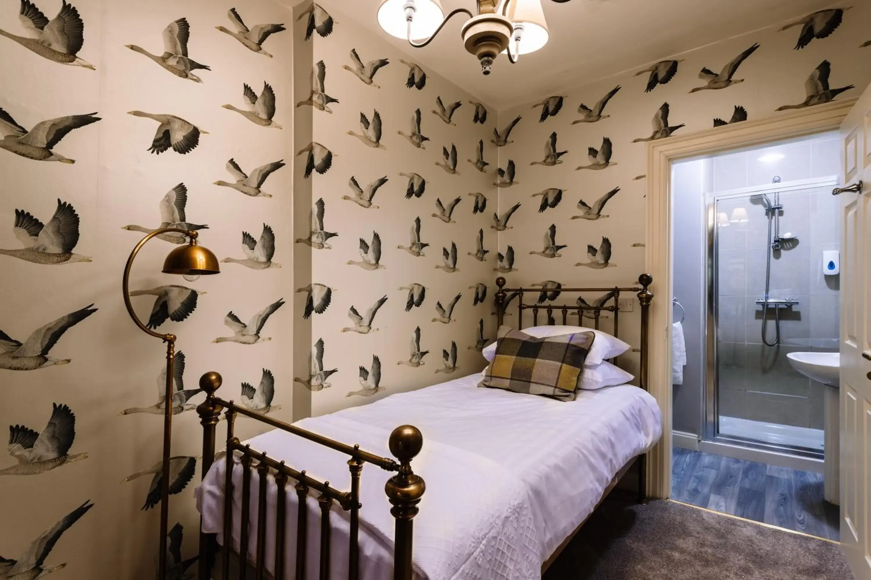 Economy Single Room - single occupancy in Ralph's Economy Single Room - single occupancy in Ralph's