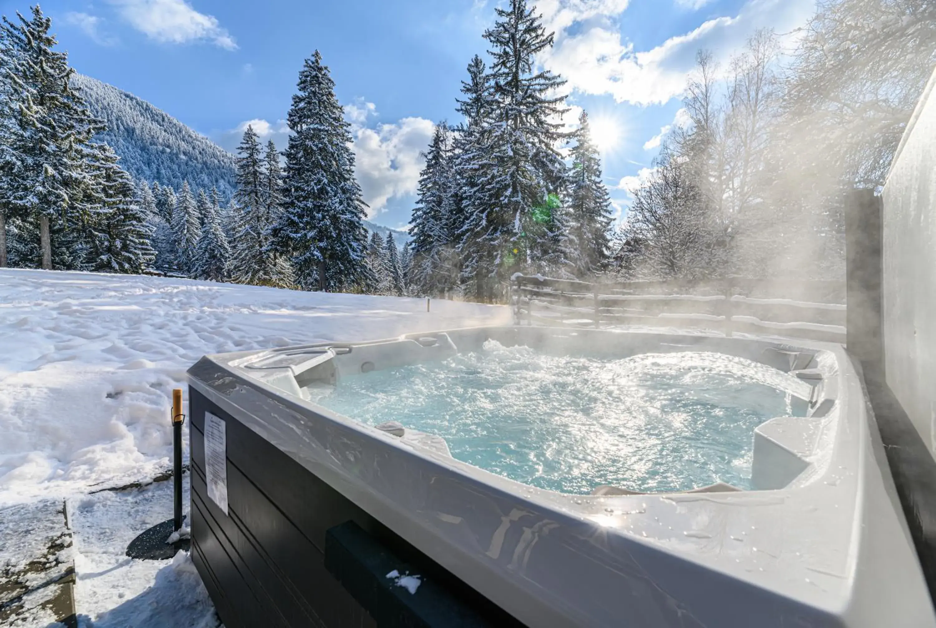 Hotel Casa Viorel jacuzzi & saunas Hotel Casa Viorel jacuzzi & saunas