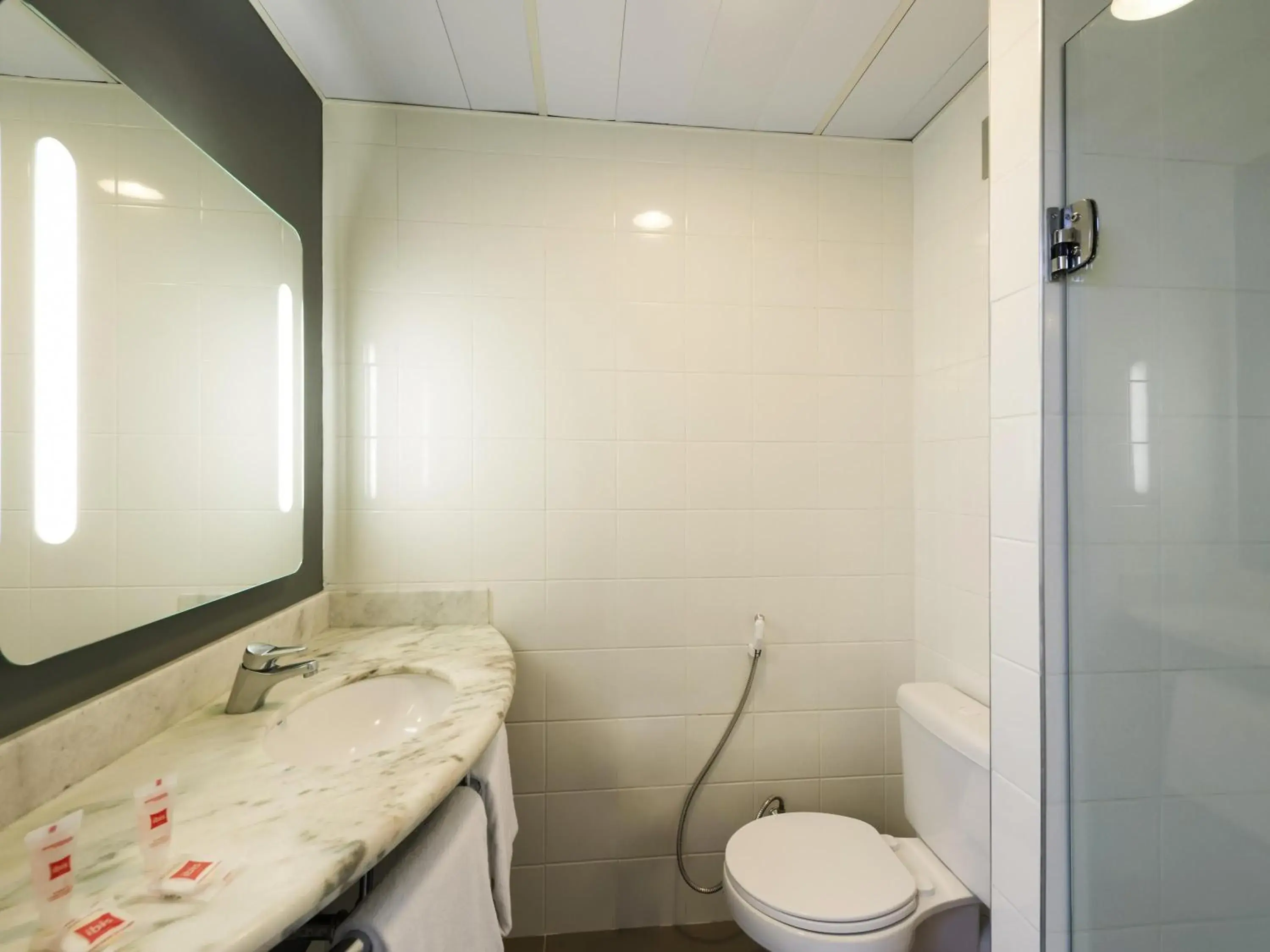 Standard Double Room with an Extra Child Bed - single occupancy in ibis Campinas Standard Double Room with an Extra Child Bed - single occupancy in ibis Campinas