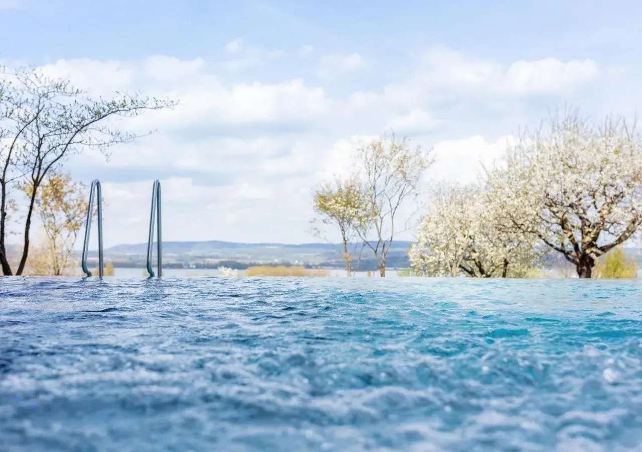 Double Room Superior with partial Lake View - single occupancy in Hotel Hirschen Horn Double Room Superior with partial Lake View - single occupancy in Hotel Hirschen Horn