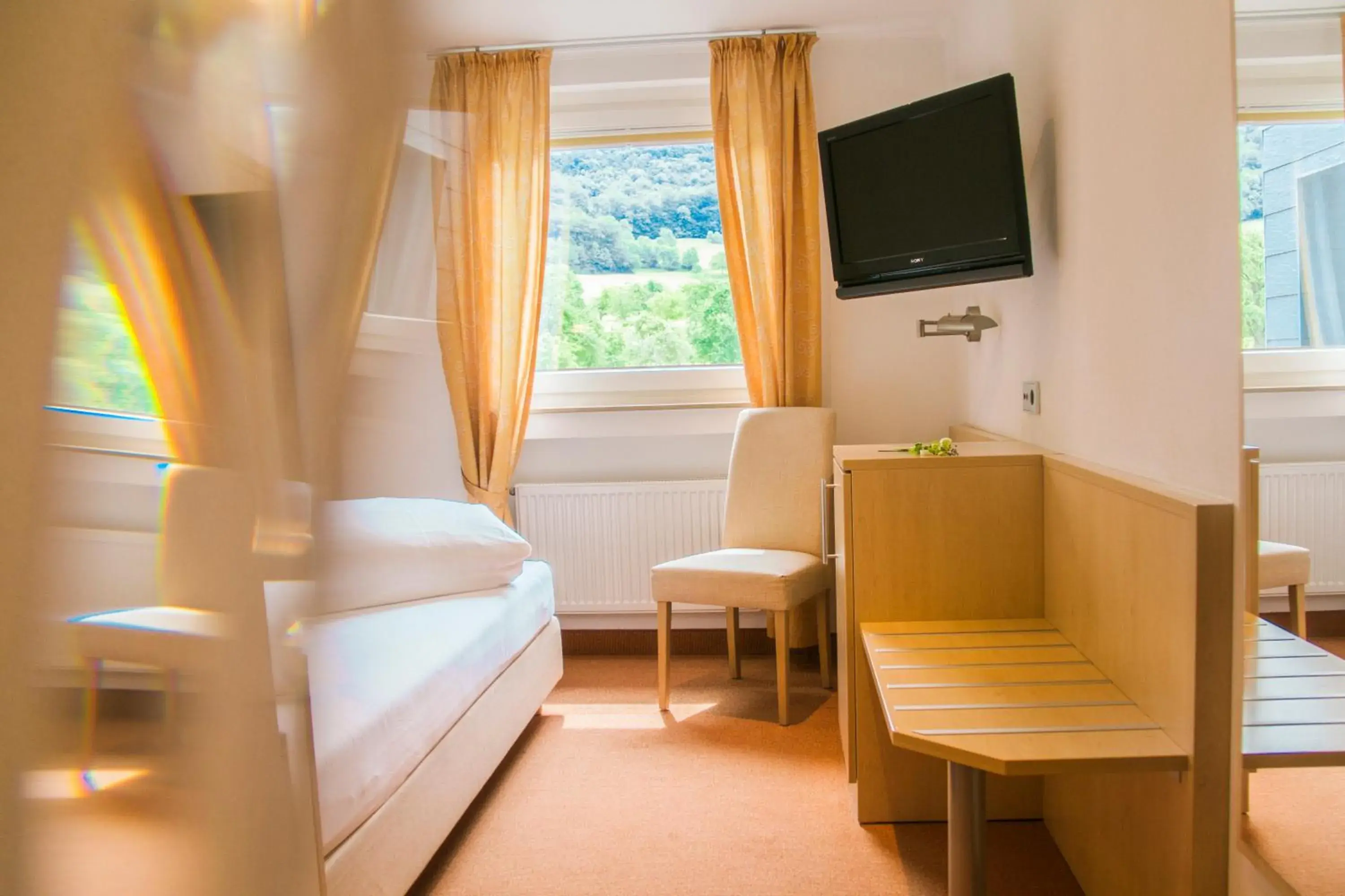 Standard Single Room with Mountain View in Stausee-Hotel Standard Single Room with Mountain View in Stausee-Hotel