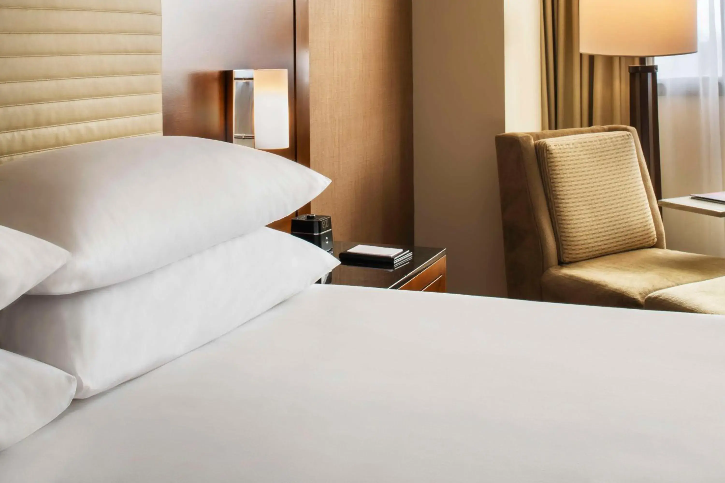 King Room with Accessible Shower - Disability Access in Hyatt Regency O'Hare Chicago King Room with Accessible Shower - Disability Access in Hyatt Regency O'Hare Chicago