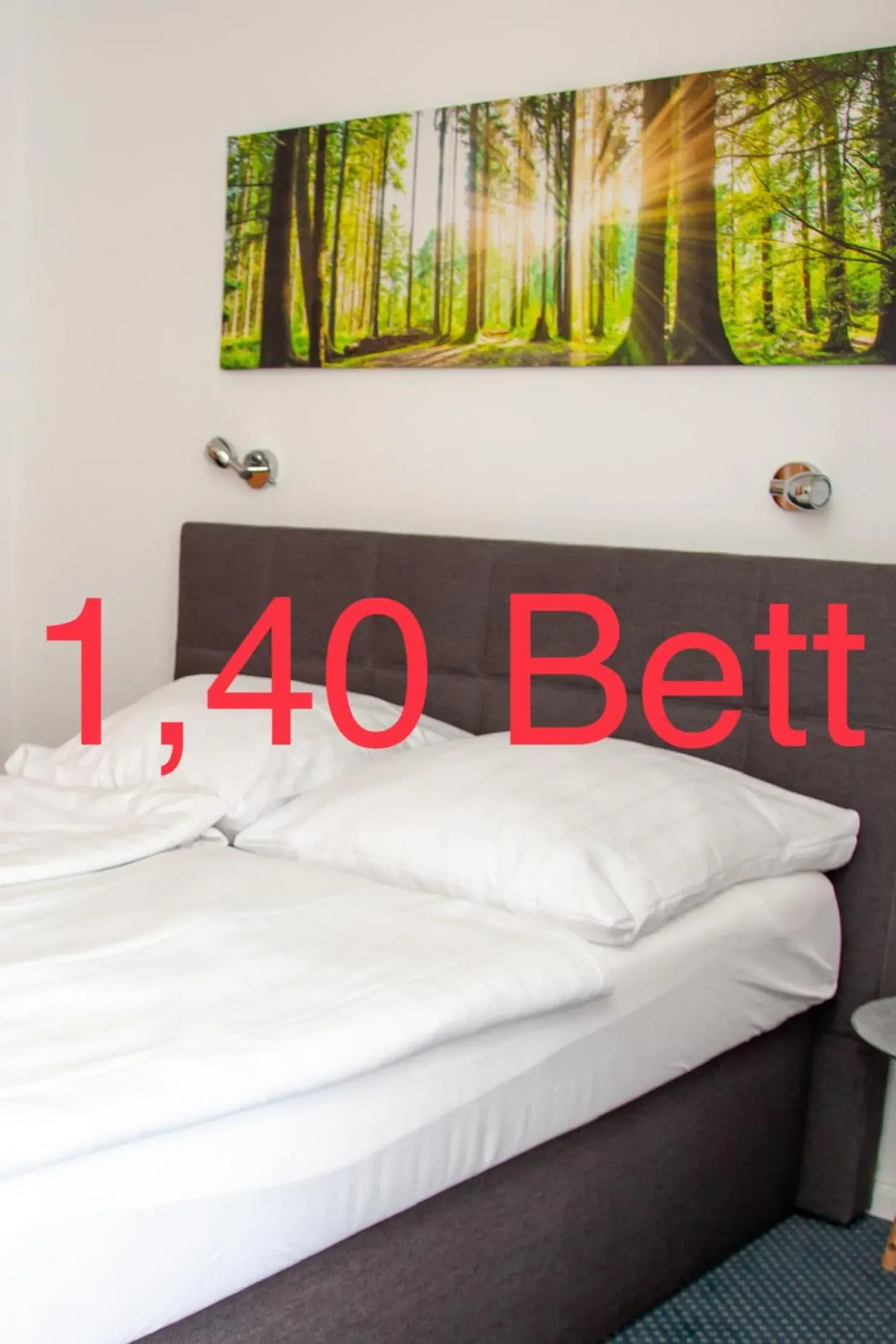 Budget Double Room - single occupancy in Hotel Lammerts Budget Double Room - single occupancy in Hotel Lammerts