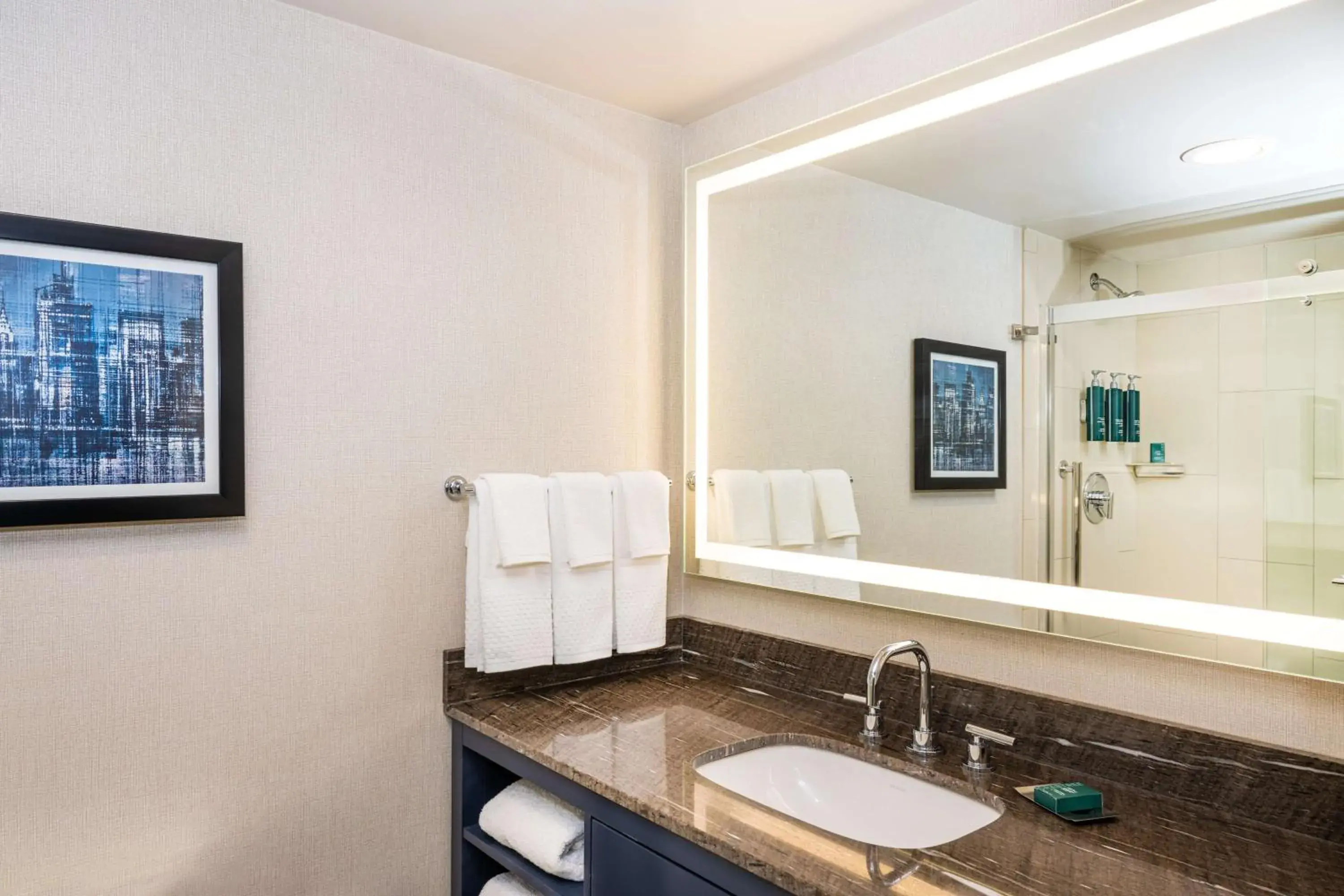 Double Room with Two Double Beds and Bath Tub - Mobility Access in DoubleTree by Hilton Hotel Newark Airport Double Room with Two Double Beds and Bath Tub - Mobility Access in DoubleTree by Hilton Hotel Newark Airport