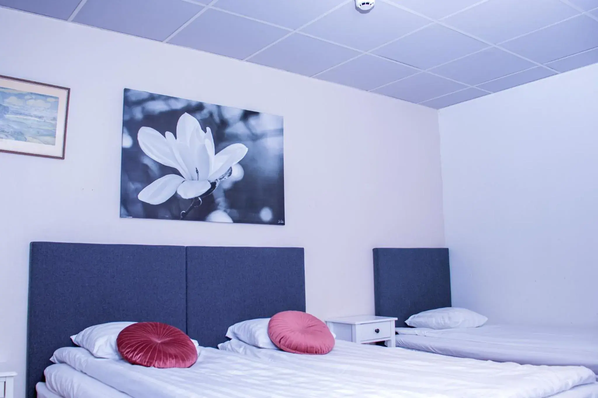 Family Room (2 Adults + 1 Child) in Euroway Hotel Family Room (2 Adults + 1 Child) in Euroway Hotel