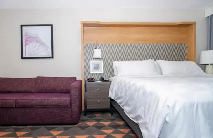 Standard King Room with Lake View in Holiday Inn Chicago Nw Crystal Lk Conv Ctr, an IHG Hotel Standard King Room with Lake View in Holiday Inn Chicago Nw Crystal Lk Conv Ctr, an IHG Hotel