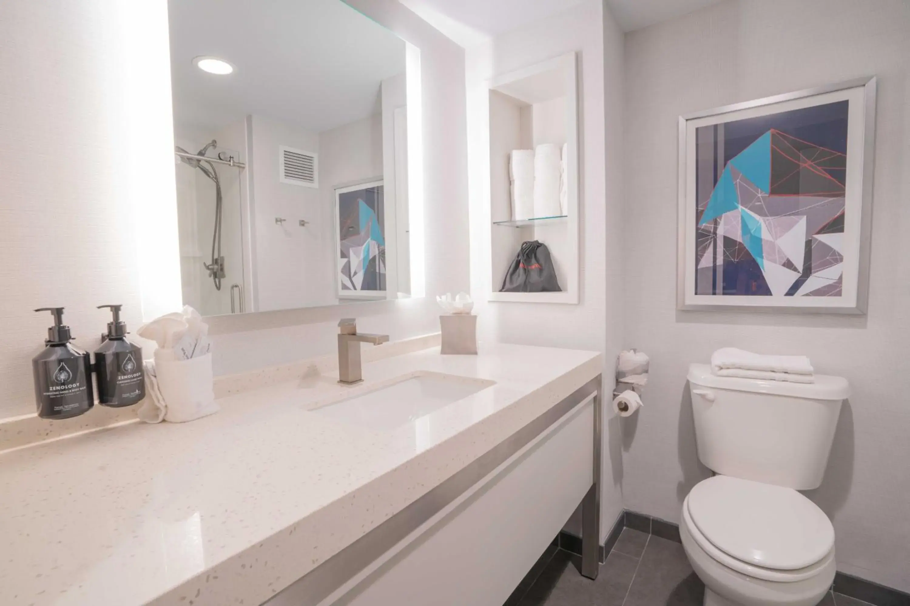 Standard Room in Hotel Indigo Harrisburg - Hershey by IHG Standard Room in Hotel Indigo Harrisburg - Hershey by IHG