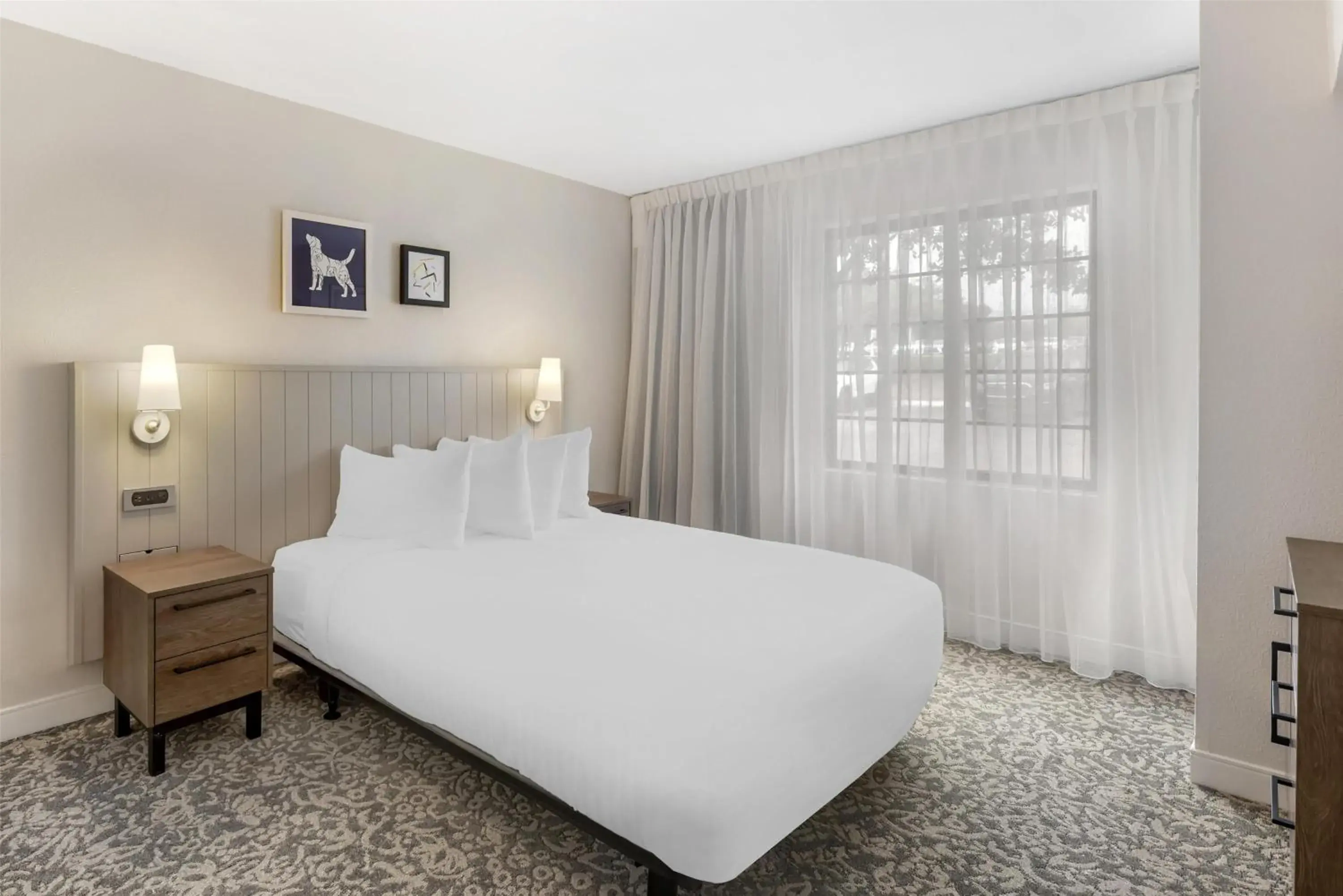 One-Bedroom Queen Suite with Roll-In Shower - Mobility Accessible in Sonesta ES Suites Austin The Domain Area - Newly Renovated One-Bedroom Queen Suite with Roll-In Shower - Mobility Accessible in Sonesta ES Suites Austin The Domain Area - Newly Renovated