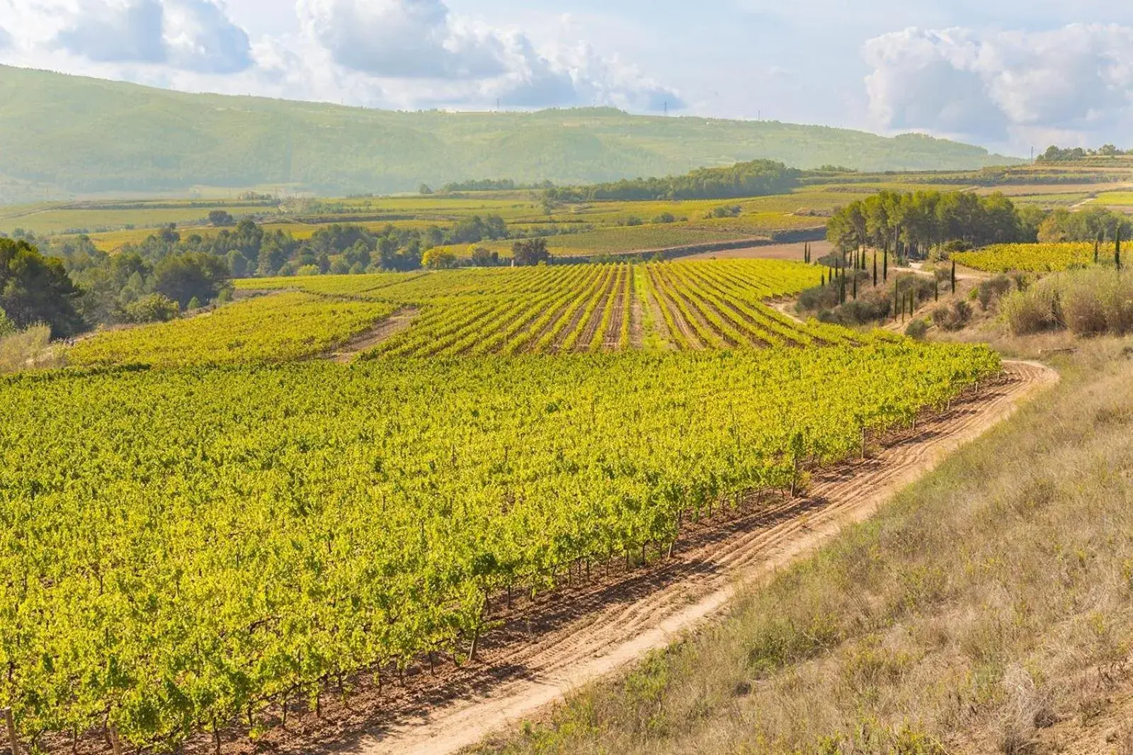 Two-Bedroom Apartment in Masia Can Canyes & Spa Two-Bedroom Apartment in Masia Can Canyes & Spa