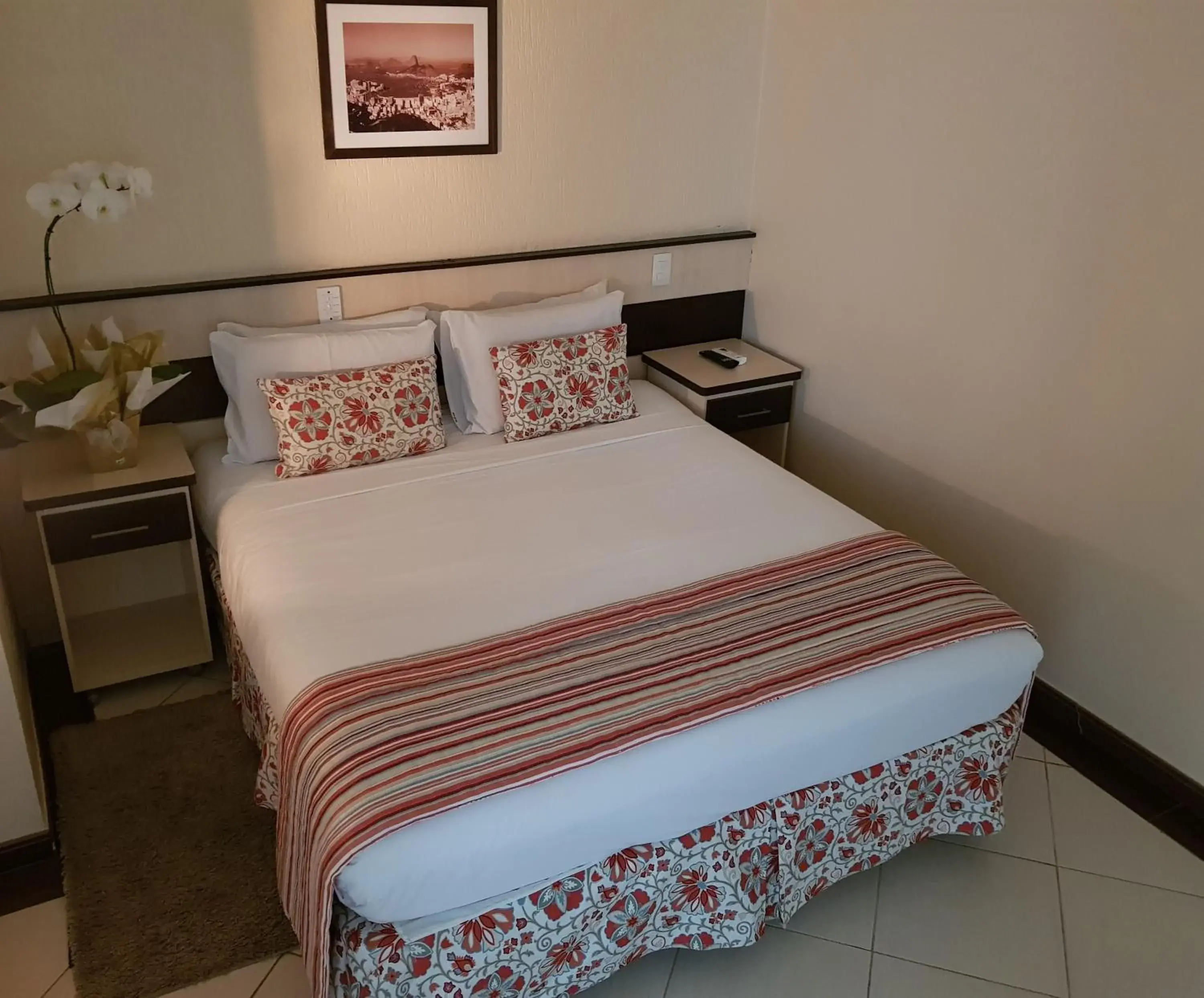 Double Executive - single occupancy in Hotel Cristal Rio Claro Double Executive - single occupancy in Hotel Cristal Rio Claro