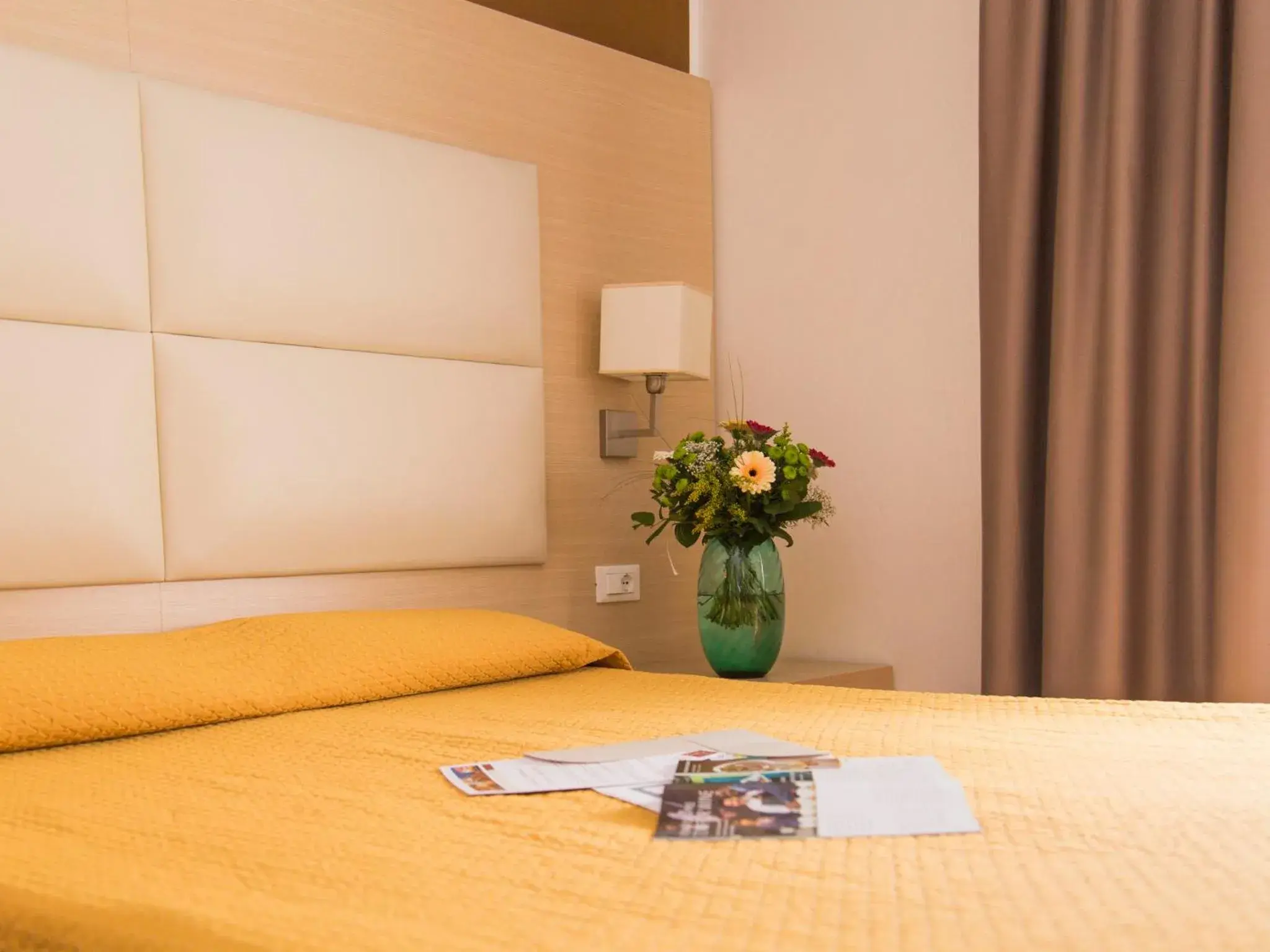 Standard Double Room in Hotel Regina Standard Double Room in Hotel Regina