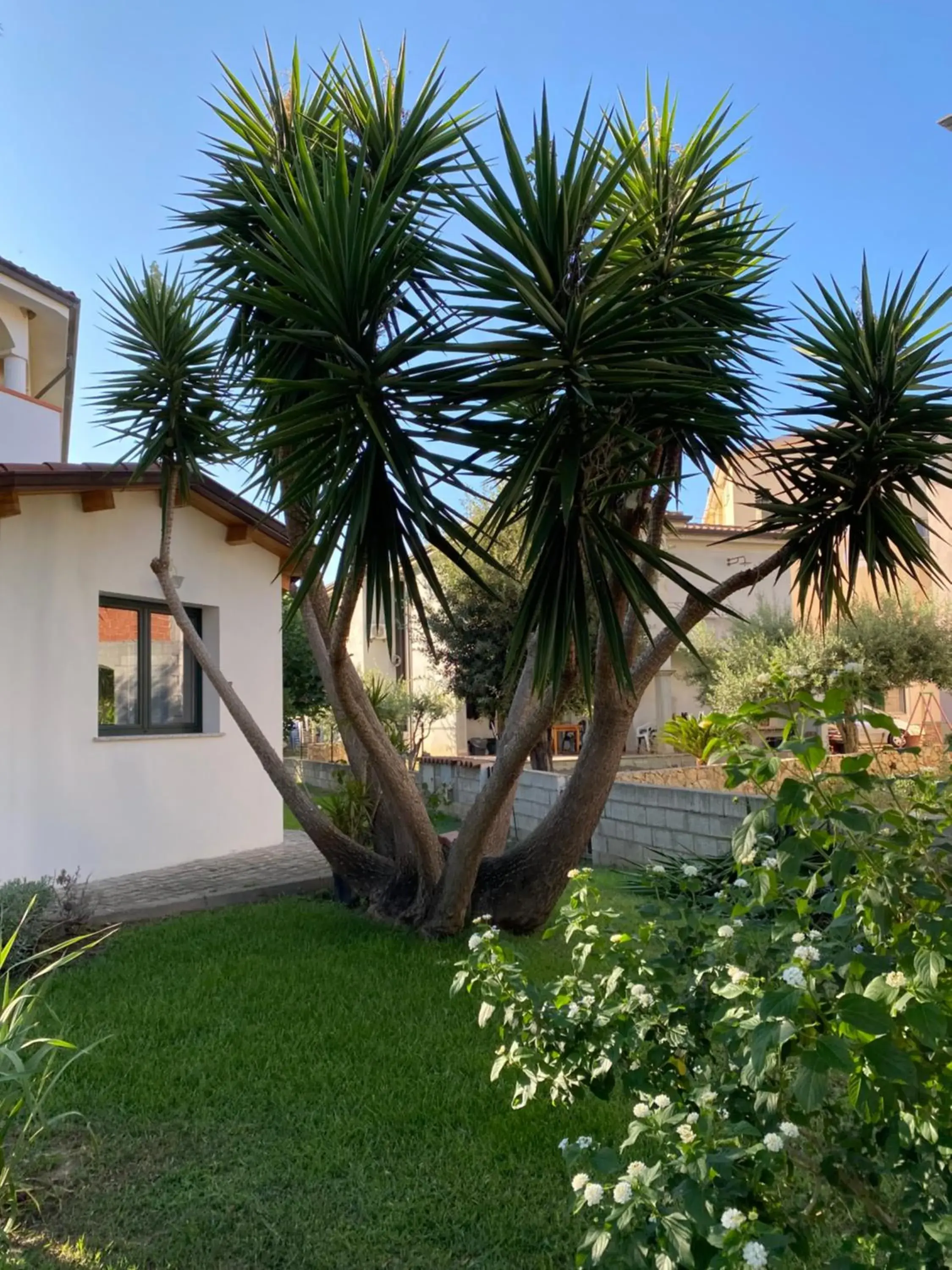 Il Pepe Rosa Il Pepe Rosa