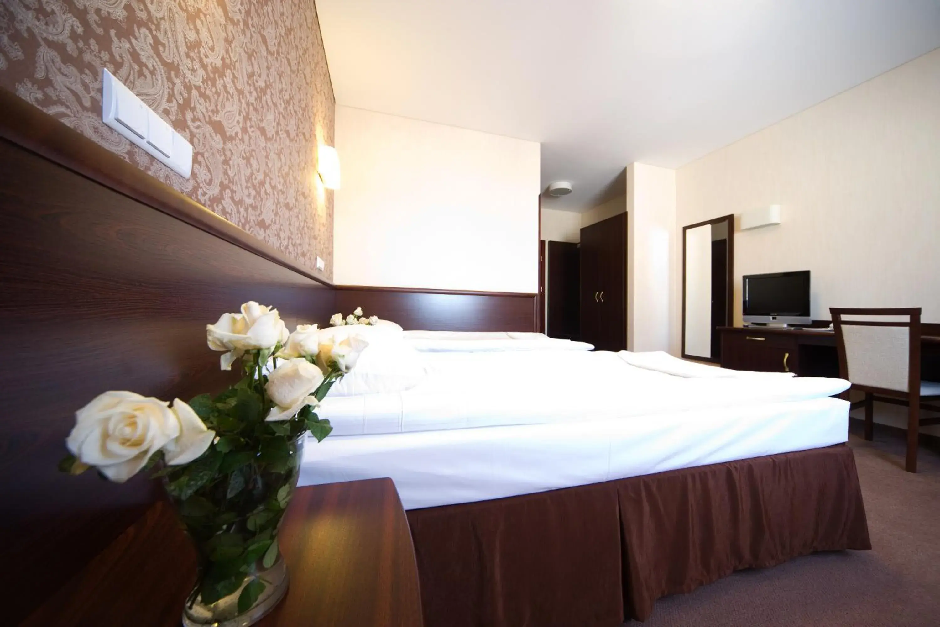 Single Room in Hotel Centrum Single Room in Hotel Centrum