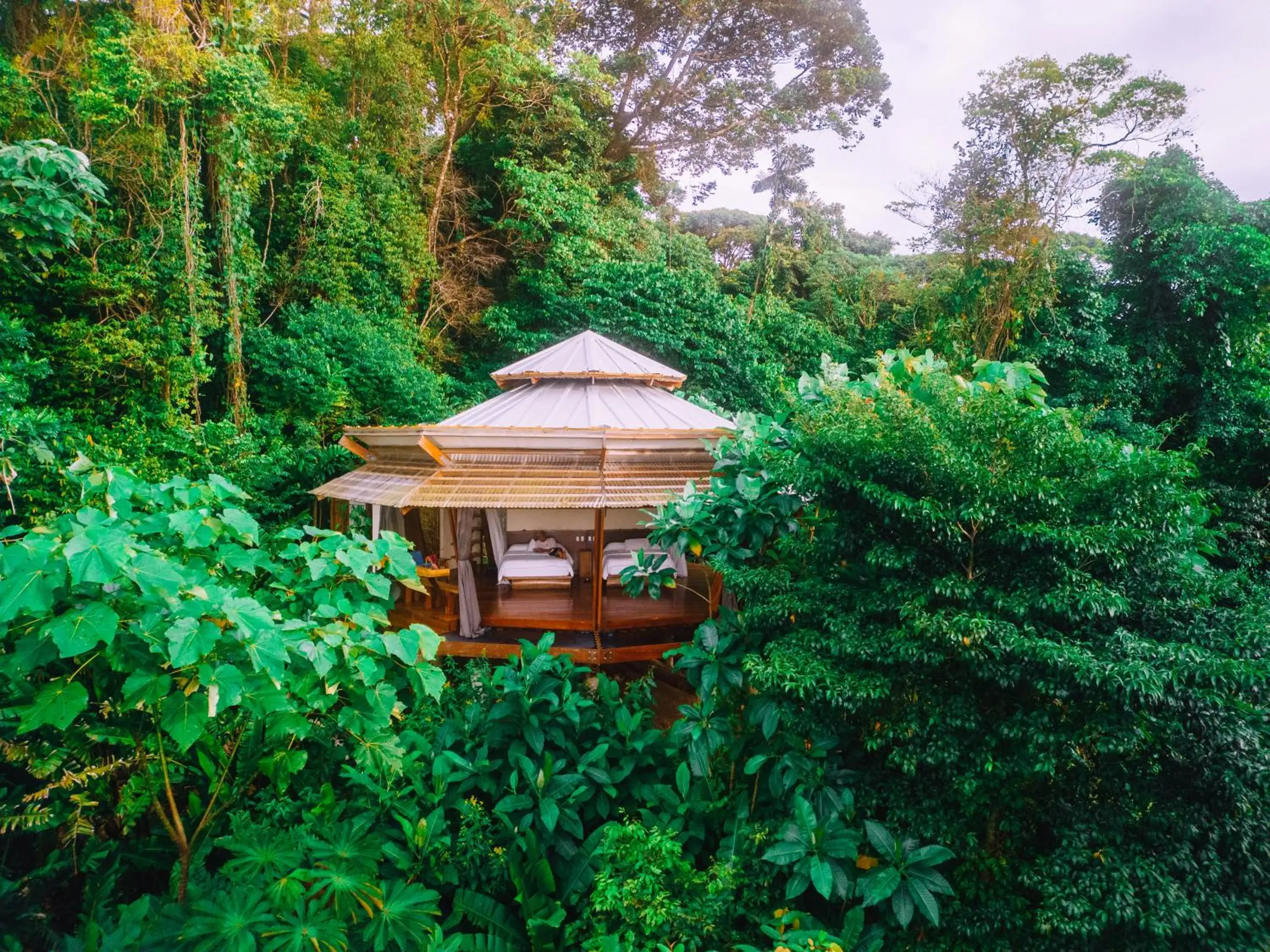 Rainforest Queen Bungalow in La Loma Jungle Lodge and Chocolate Farm Rainforest Queen Bungalow in La Loma Jungle Lodge and Chocolate Farm