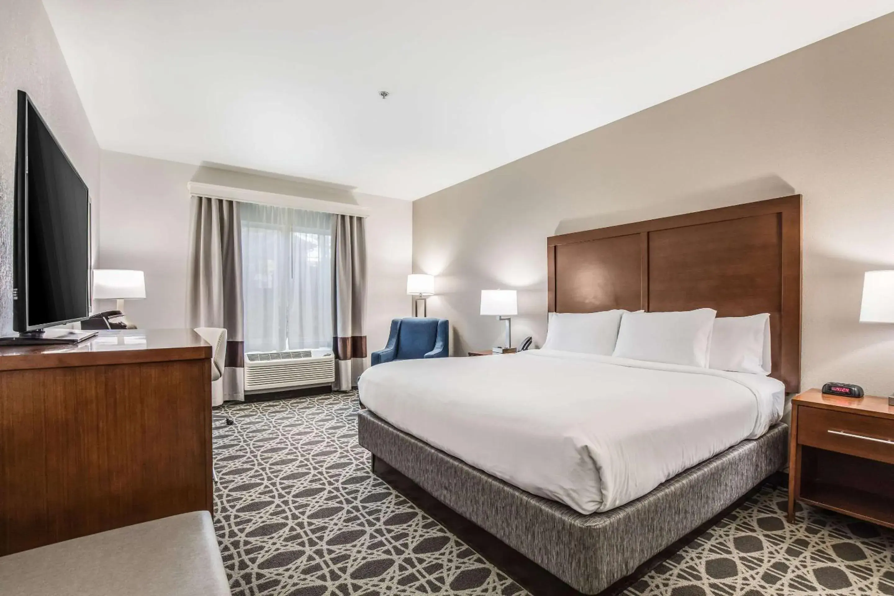 Standard King Room - Non Smoking in Comfort Inn & Suites Brevard North Standard King Room - Non Smoking in Comfort Inn & Suites Brevard North