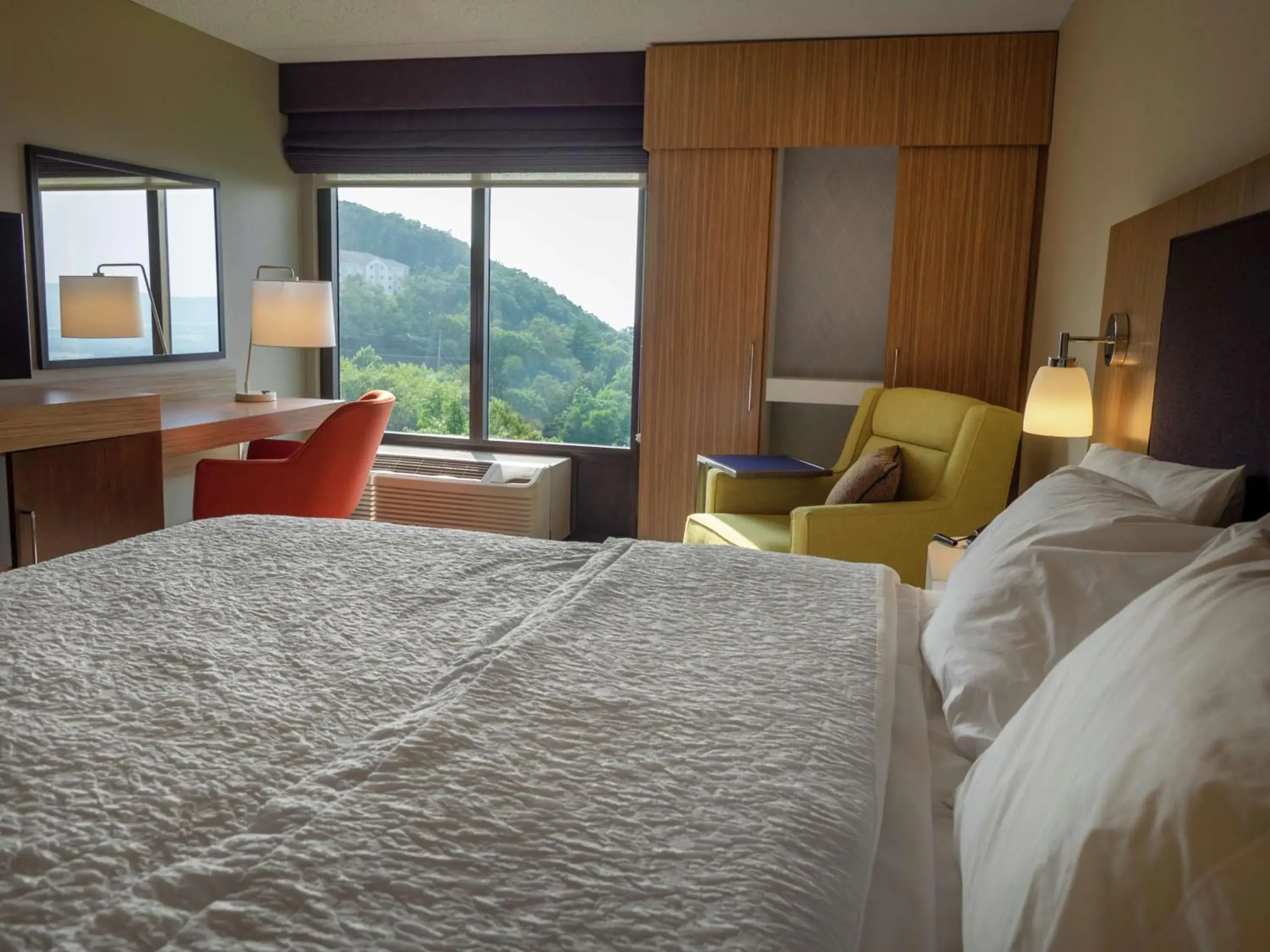 King Room With Valley View - Non-Smoking in Hampton Inn Hazleton King Room With Valley View - Non-Smoking in Hampton Inn Hazleton