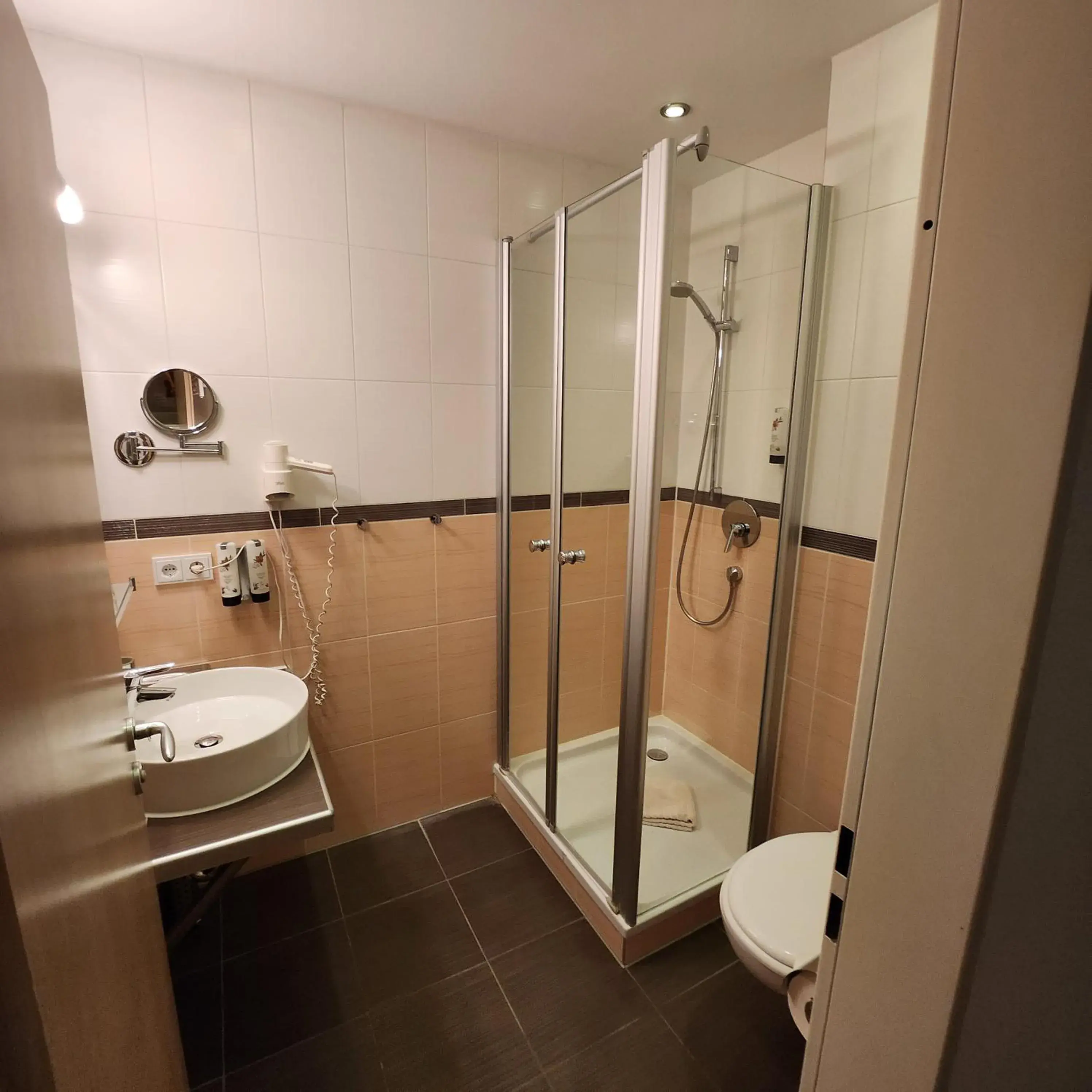 Standard Single Room in Posthotel Traube Standard Single Room in Posthotel Traube