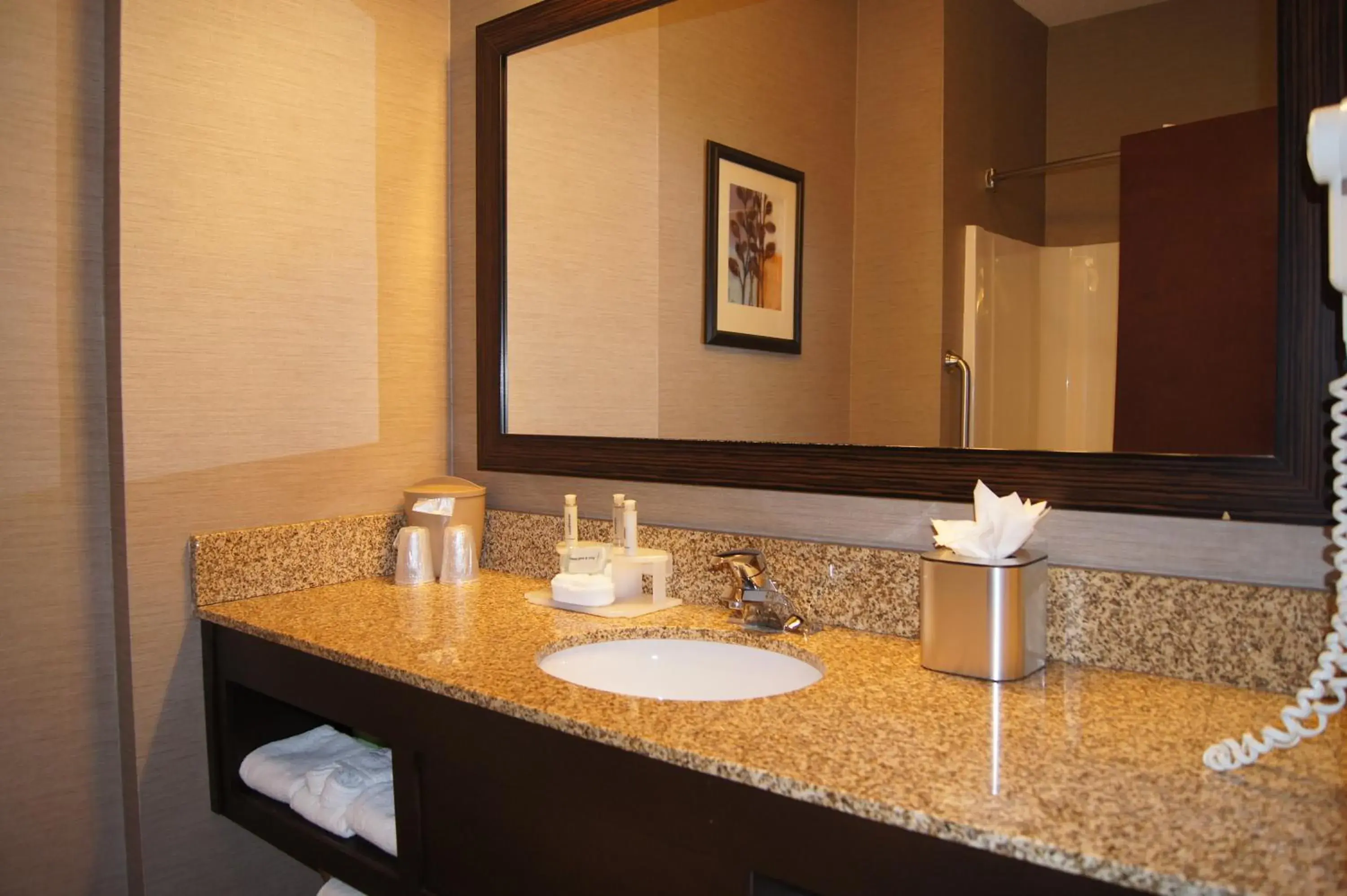 Bathroom in Holiday Inn Express Hotel & Suites Buford-Mall Of Georgia Bathroom in Holiday Inn Express Hotel & Suites Buford-Mall Of Georgia