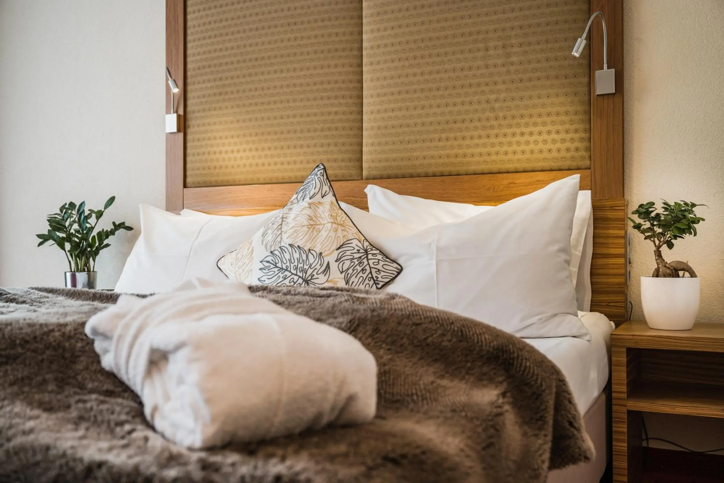 Economy Double Room in Scheffer's Hotel Economy Double Room in Scheffer's Hotel