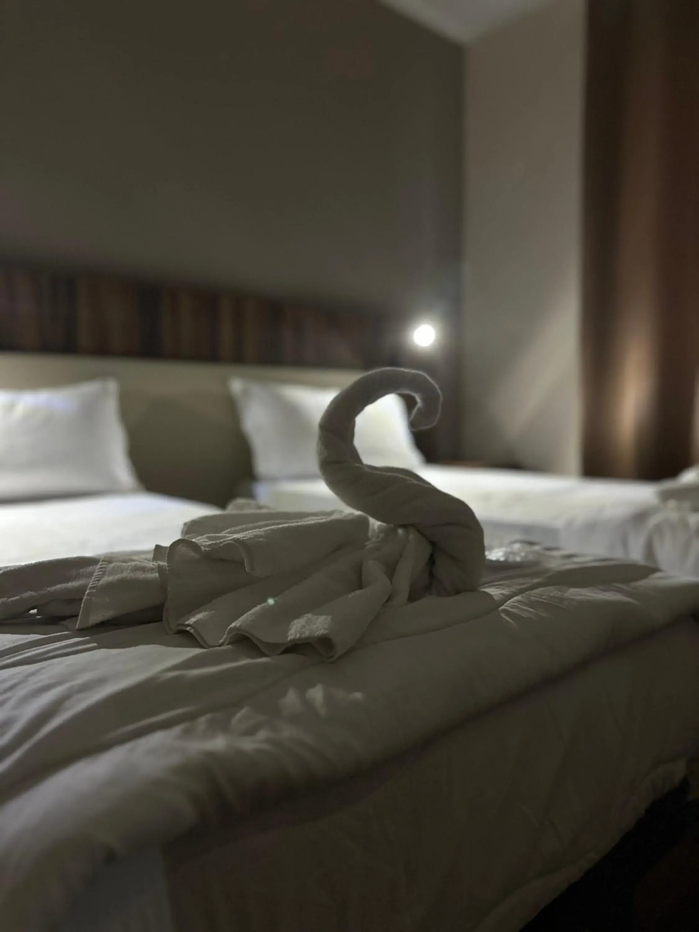 Superior Triple Room - single occupancy in Hotel Ristorante La Rampina Superior Triple Room - single occupancy in Hotel Ristorante La Rampina