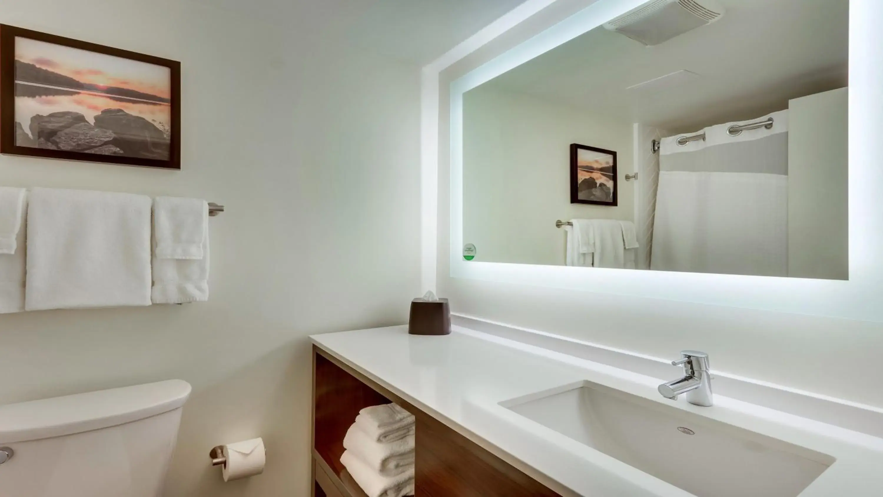 King Room with Golf Course View - Non-Smoking in Holiday Inn Staunton Conference Center by IHG King Room with Golf Course View - Non-Smoking in Holiday Inn Staunton Conference Center by IHG