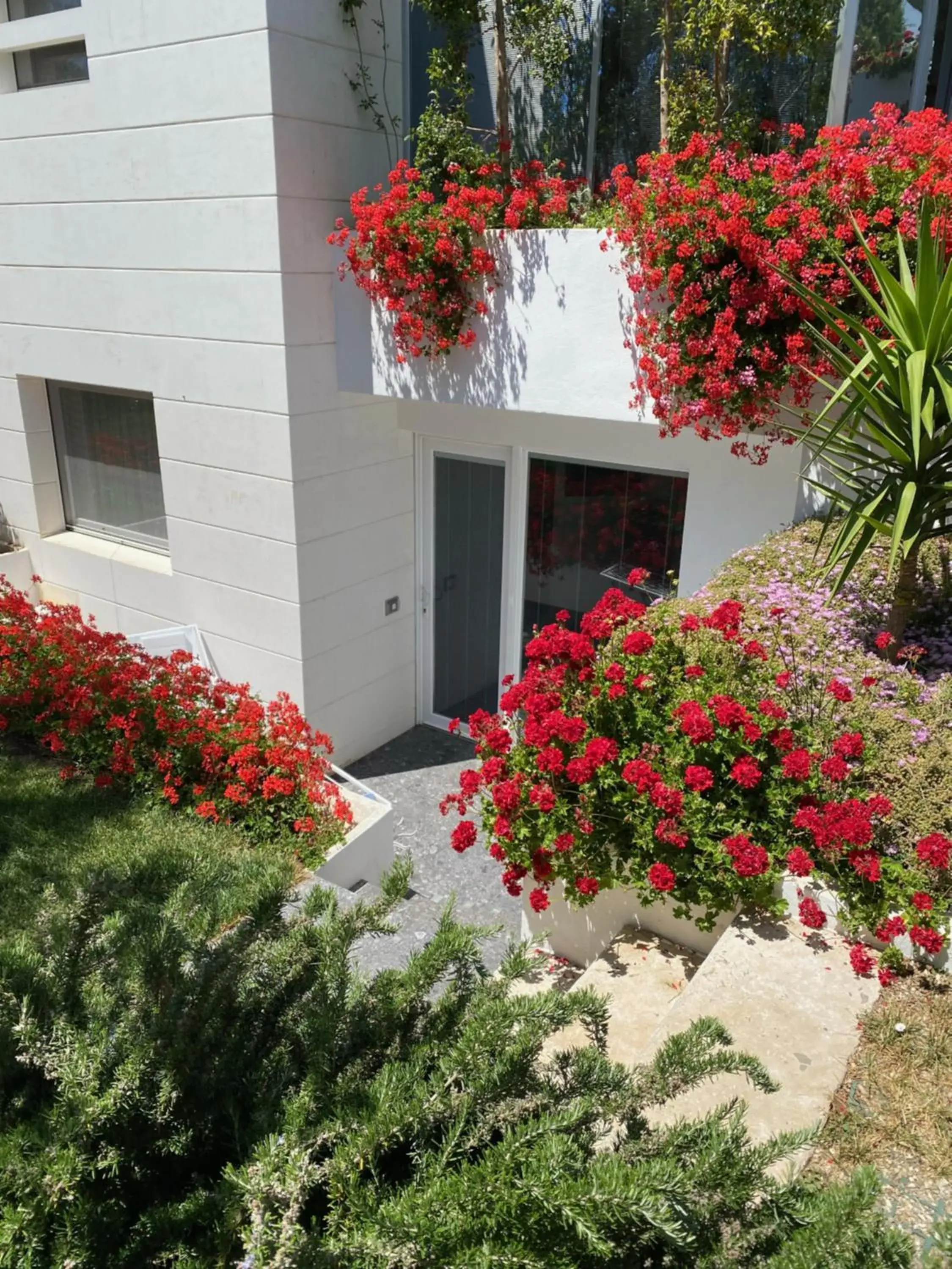 Double Room with Kitchenette in Hotel Torre Santamaria Resort Double Room with Kitchenette in Hotel Torre Santamaria Resort