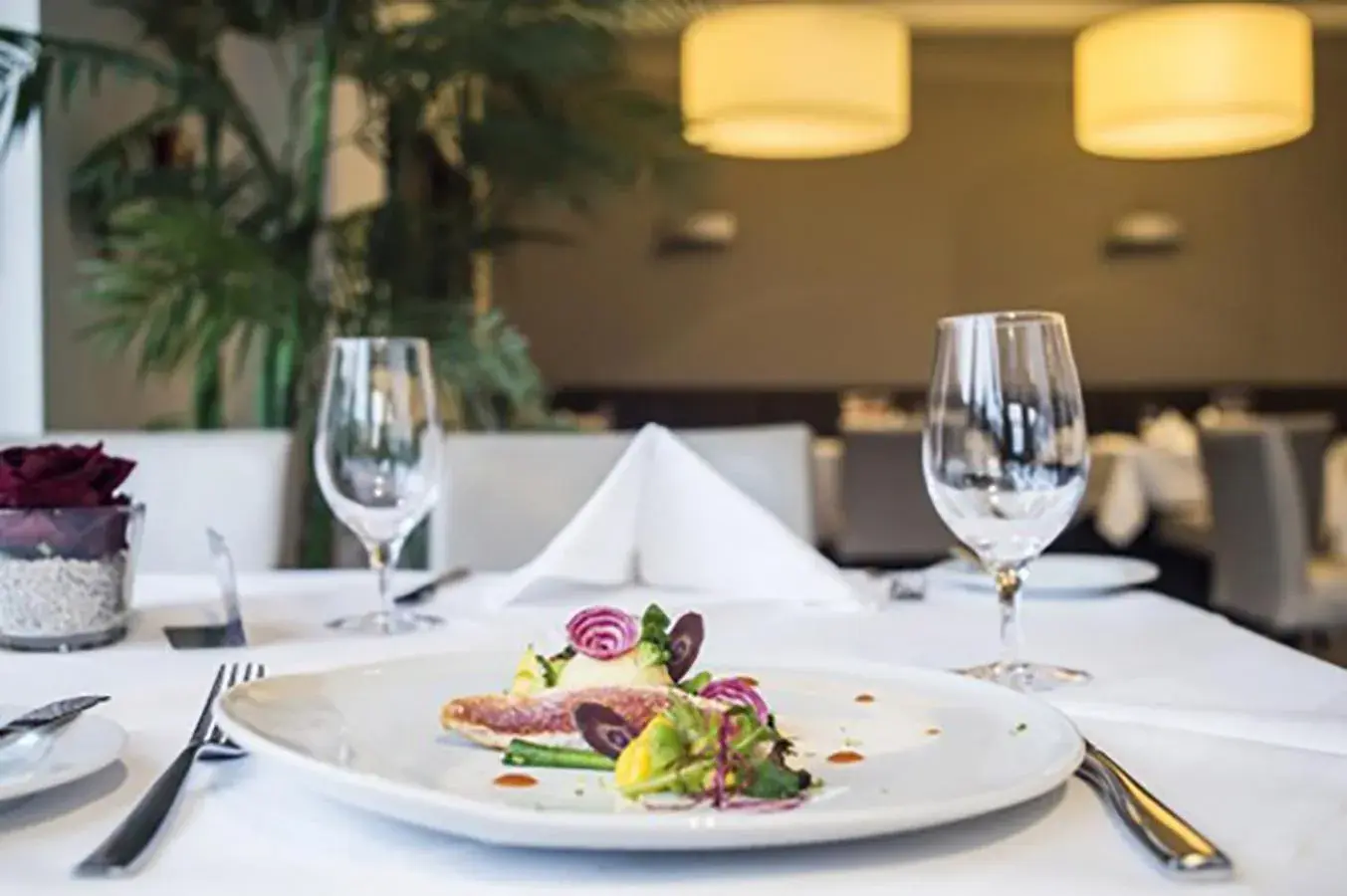 Discovery Package - single occupancy - Superior Room in Parc Hotel Alvisse Discovery Package - single occupancy - Superior Room in Parc Hotel Alvisse