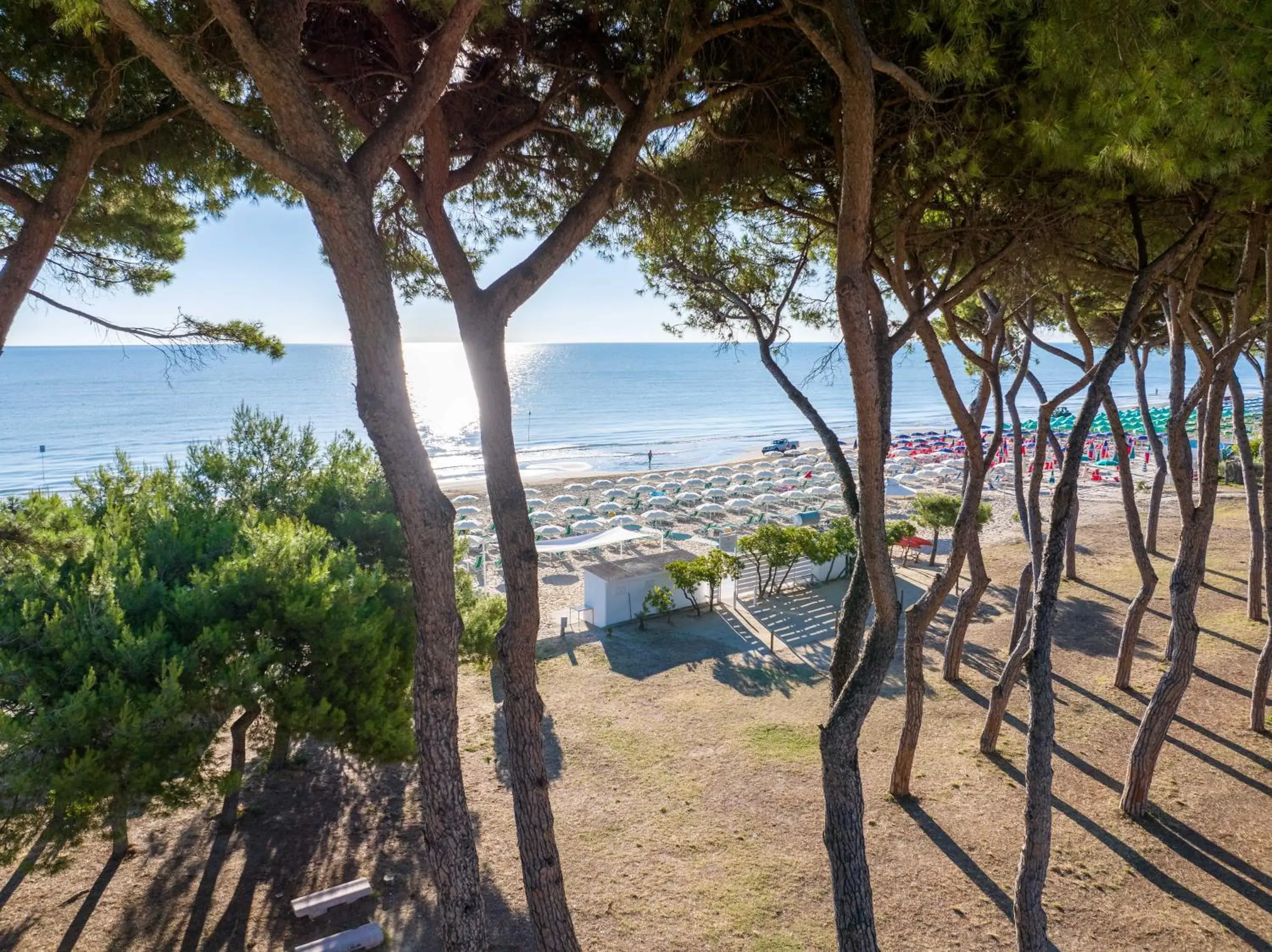 Family Room in Hotel La Pineta Family Room in Hotel La Pineta