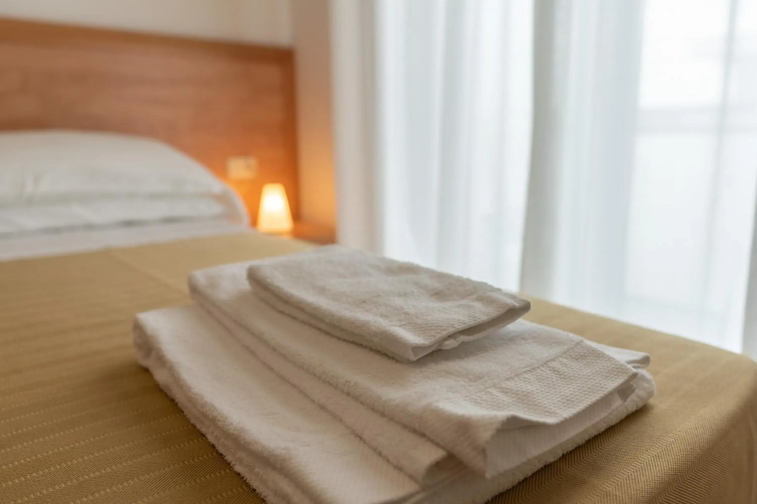 Double Room - single occupancy in Hotel La Pineta Double Room - single occupancy in Hotel La Pineta