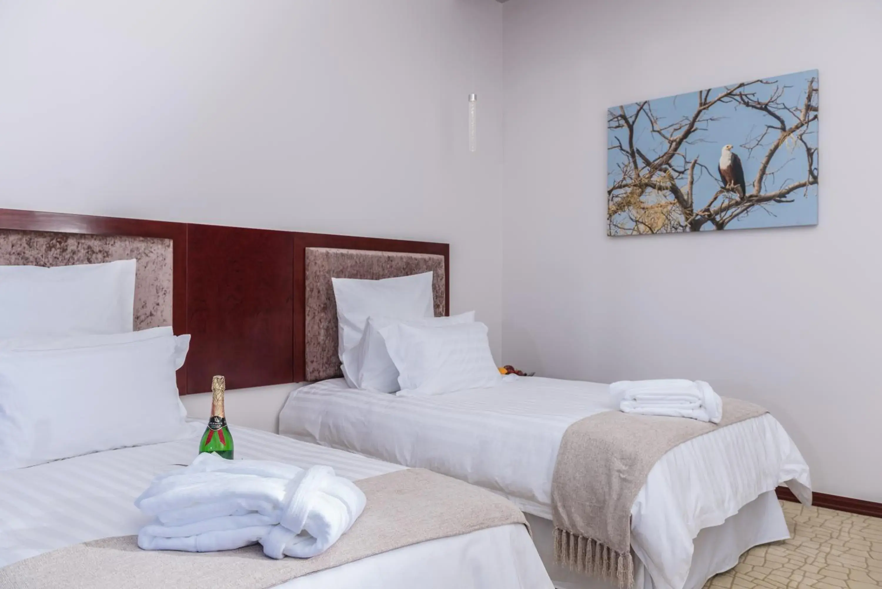 Comfort Twin Room with Disability Access - single occupancy in Flamingo Villas Boutique Hotel Comfort Twin Room with Disability Access - single occupancy in Flamingo Villas Boutique Hotel