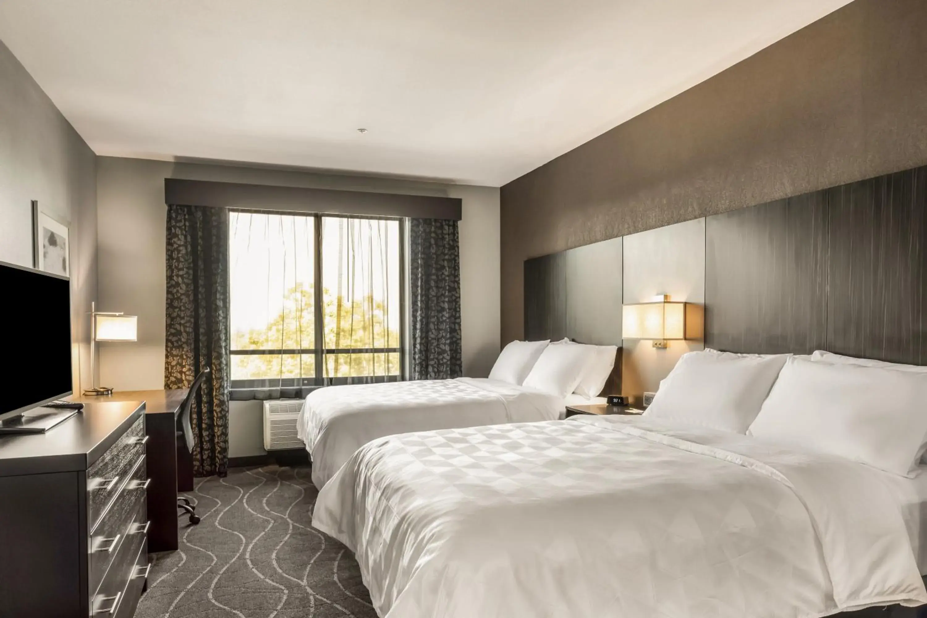 Standard Room in Holiday Inn & Suites Silicon Valley - Milpitas by IHG Standard Room in Holiday Inn & Suites Silicon Valley - Milpitas by IHG