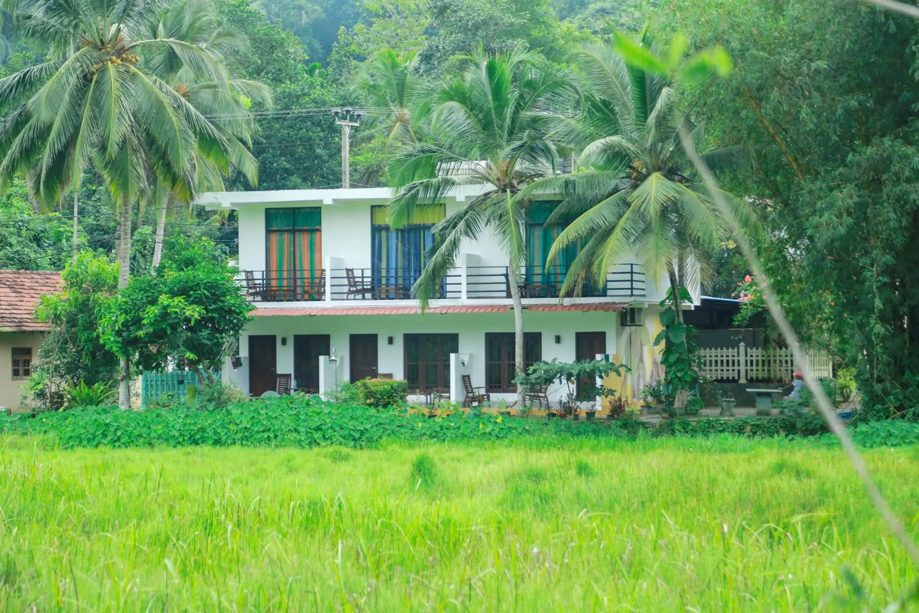 Paddy Field View Resort Paddy Field View Resort