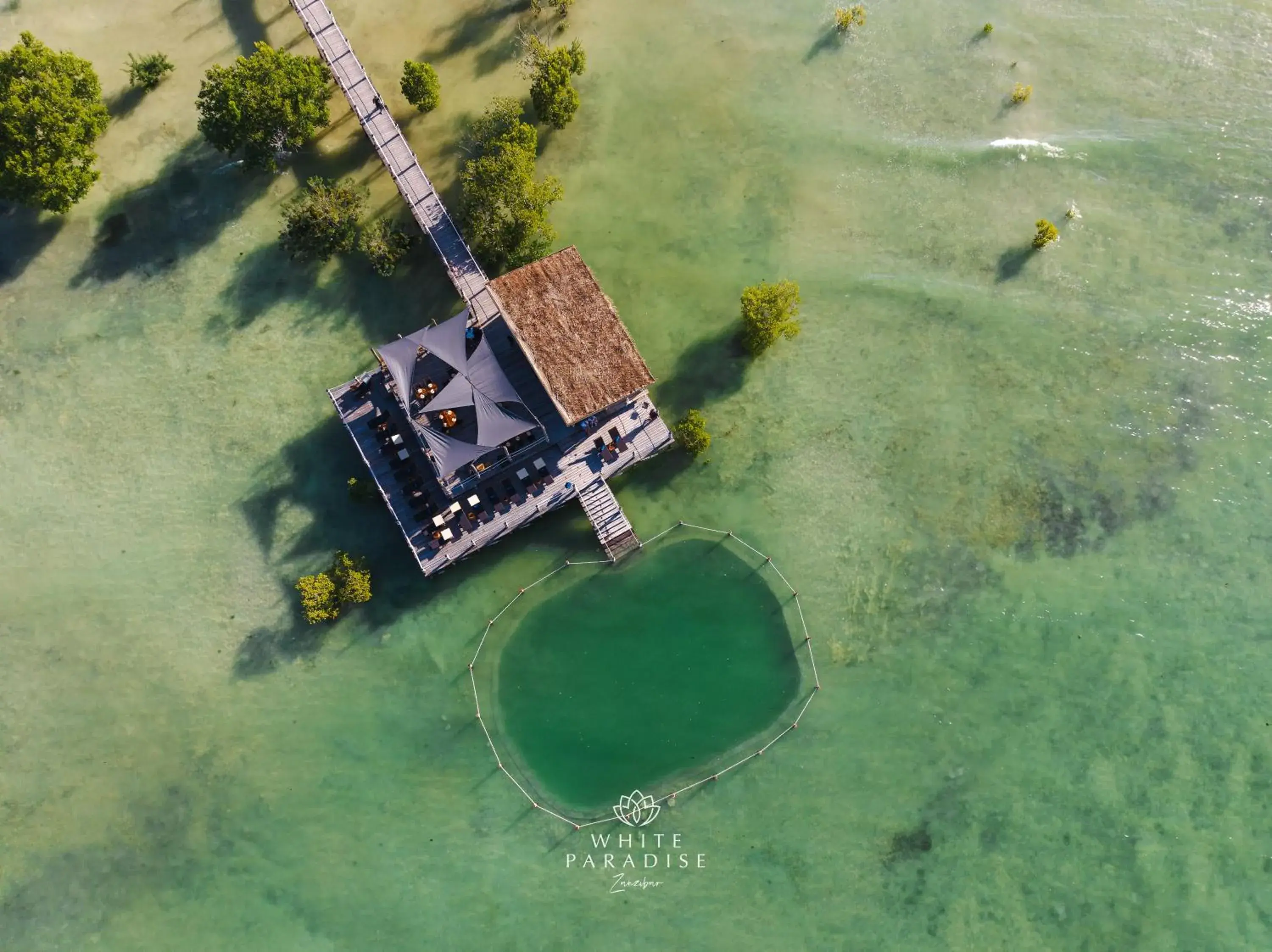 White Paradise Zanzibar White Paradise Zanzibar