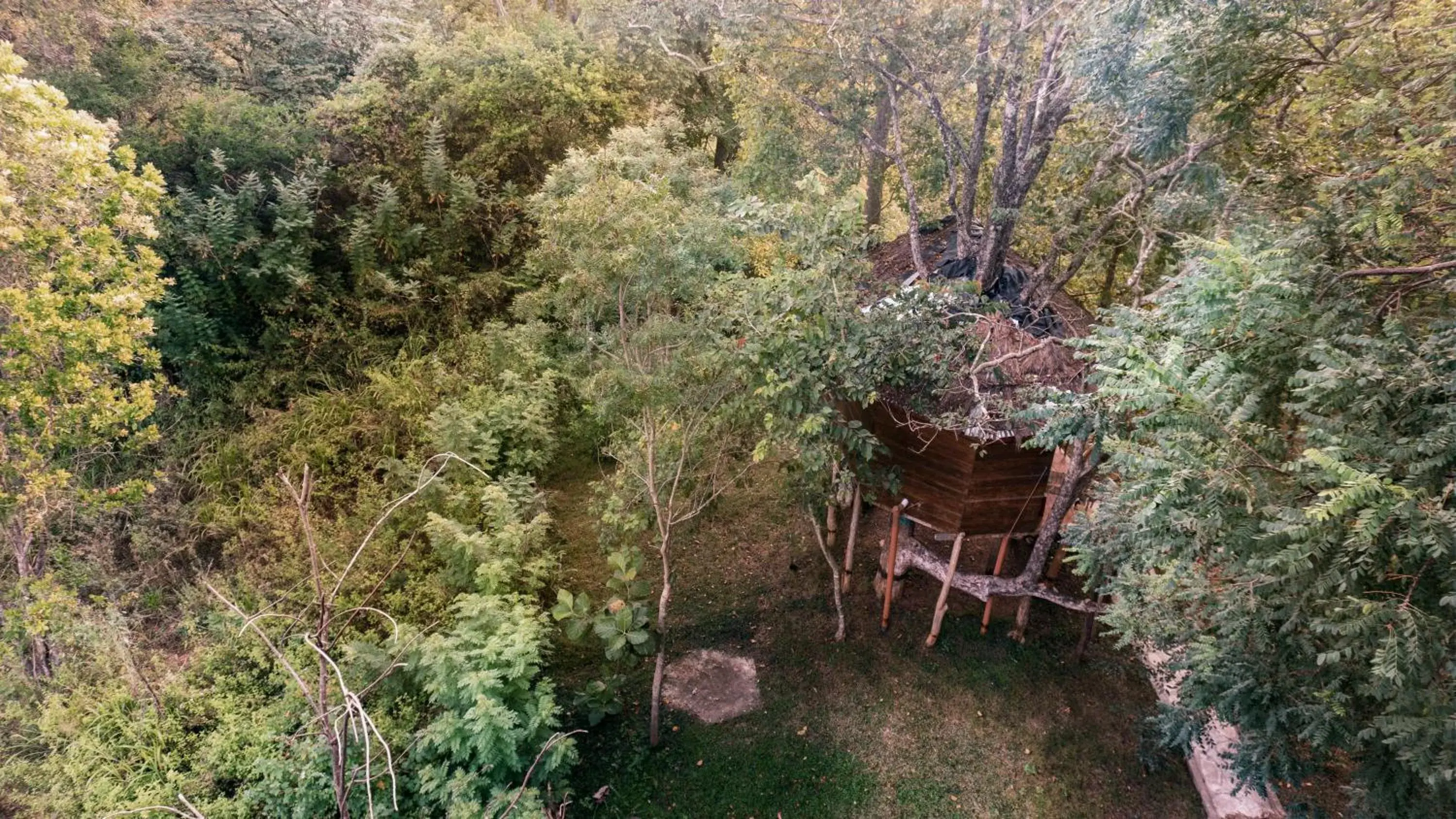 HOT Deal -Deluxe Tree House with Free Hiking & Other Benefits in La Pentera HOT Deal -Deluxe Tree House with Free Hiking & Other Benefits in La Pentera