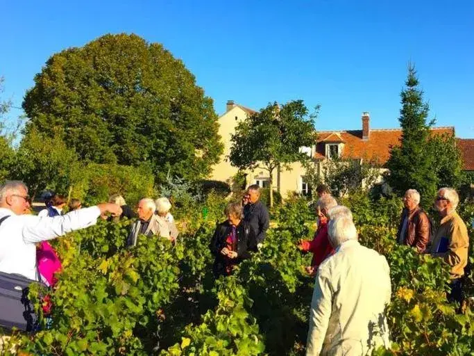 Studio in Les Temps Perdus Studio in Les Temps Perdus