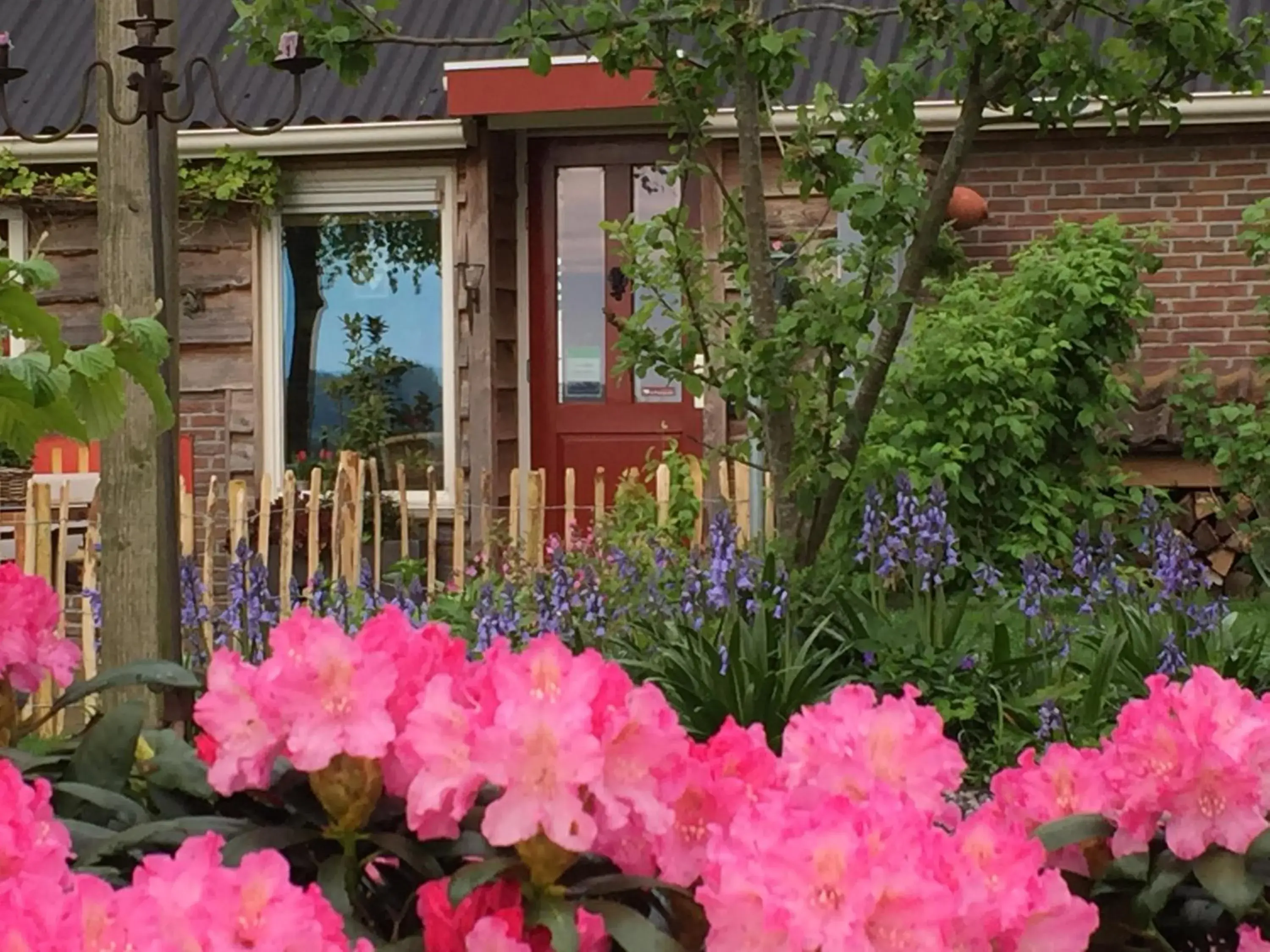 Studio with Garden View in De Porrepoele Studio with Garden View in De Porrepoele