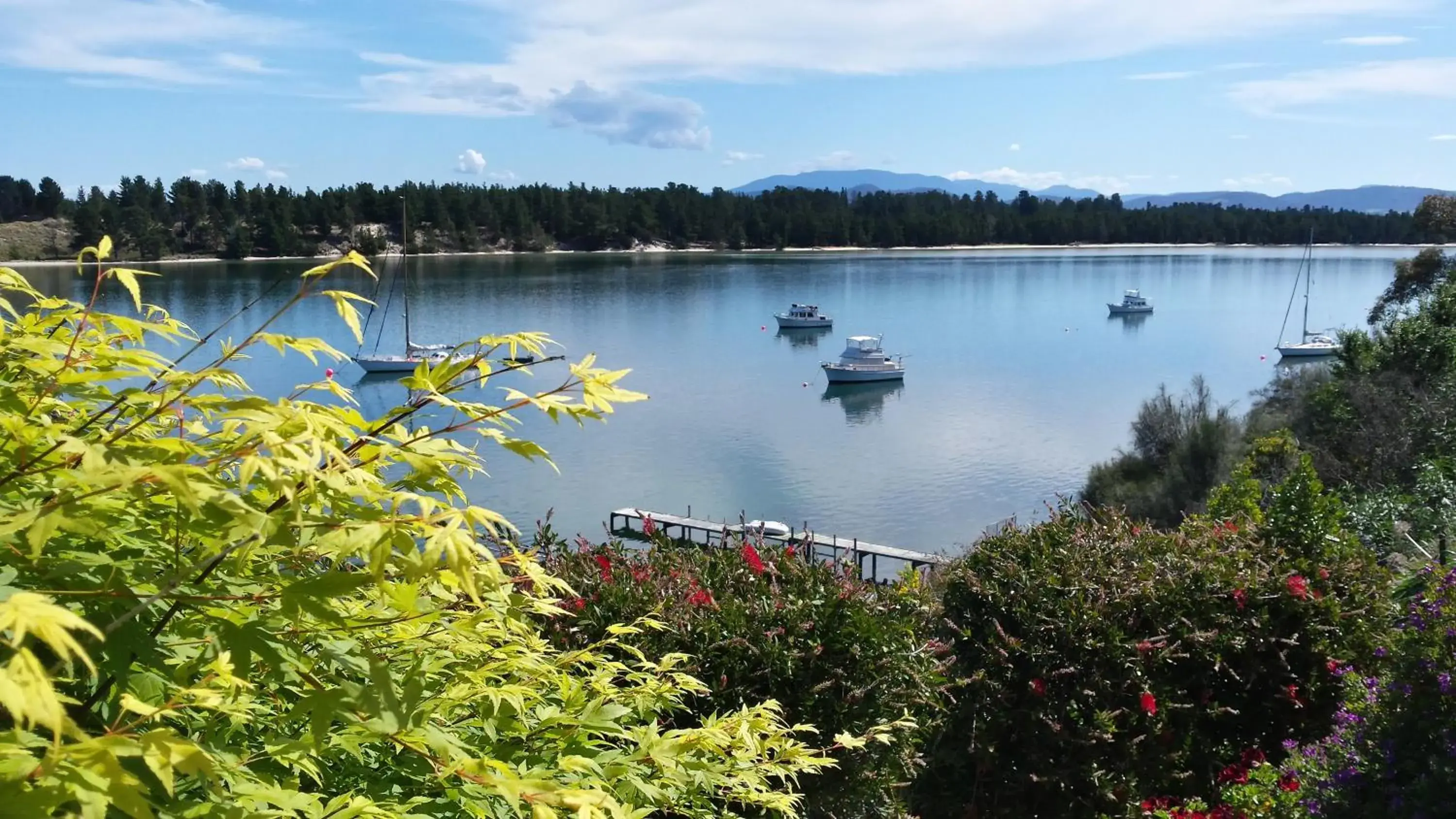 Lewi Waters Lewi Waters