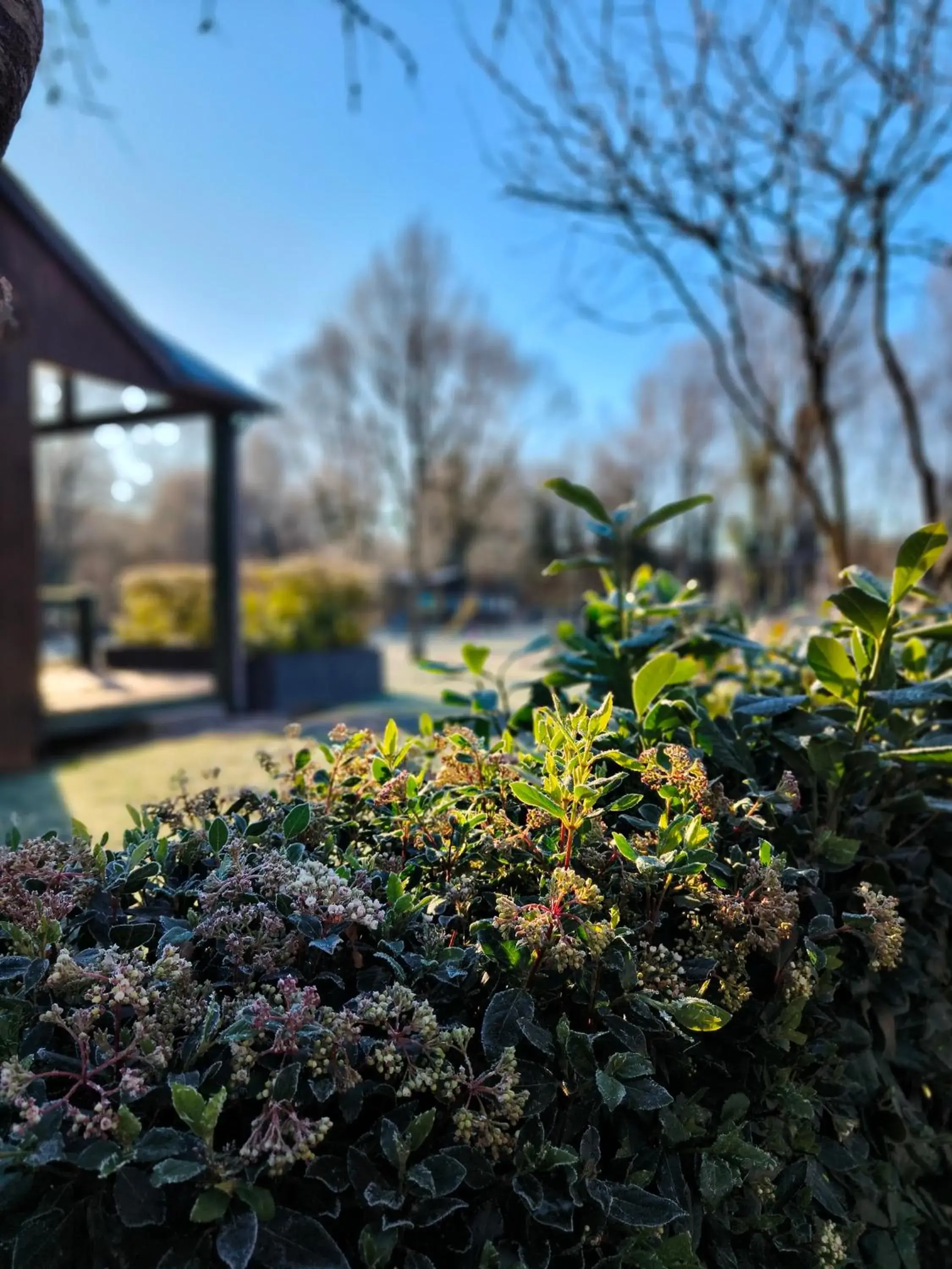 Superior Chalet in Chalets de la Colagne Superior Chalet in Chalets de la Colagne