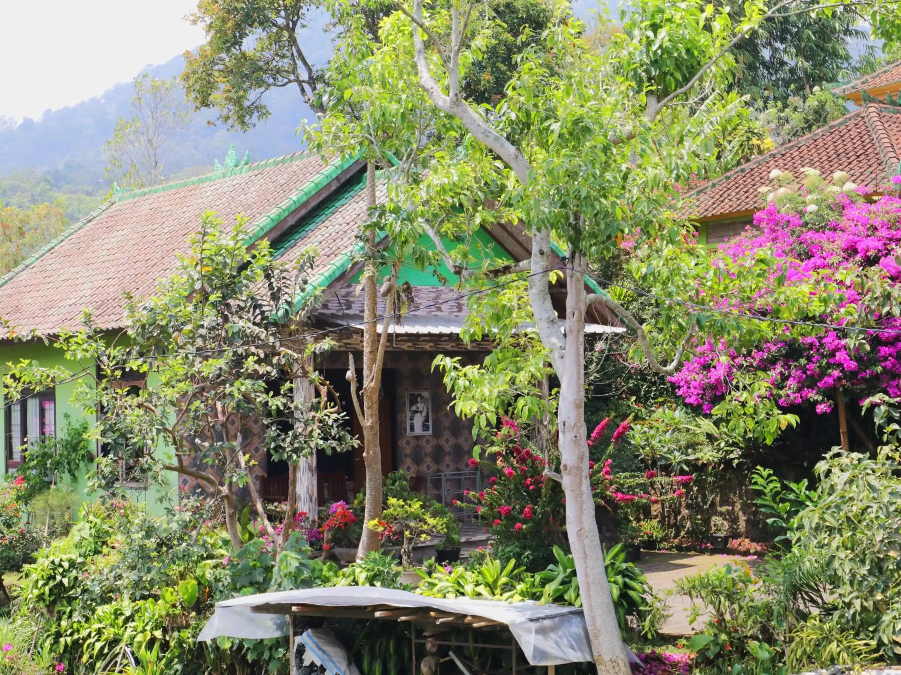 Standard Double Room in Dajan Buyan Homestay Standard Double Room in Dajan Buyan Homestay