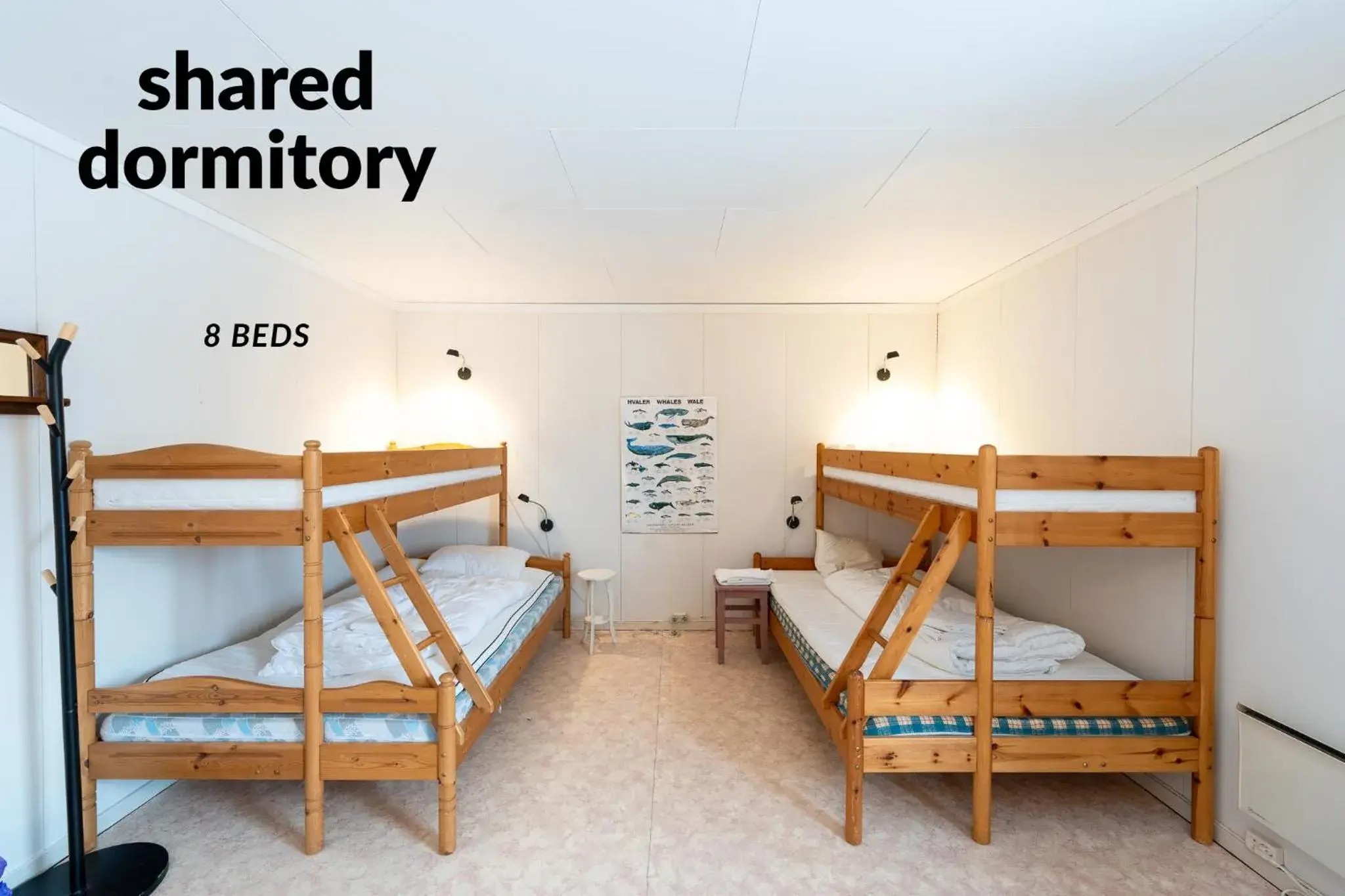 Bed in Male Dormitory Room in Lydersen Rorbuer Budget Hostel & Private Apartments Bed in Male Dormitory Room in Lydersen Rorbuer Budget Hostel & Private Apartments