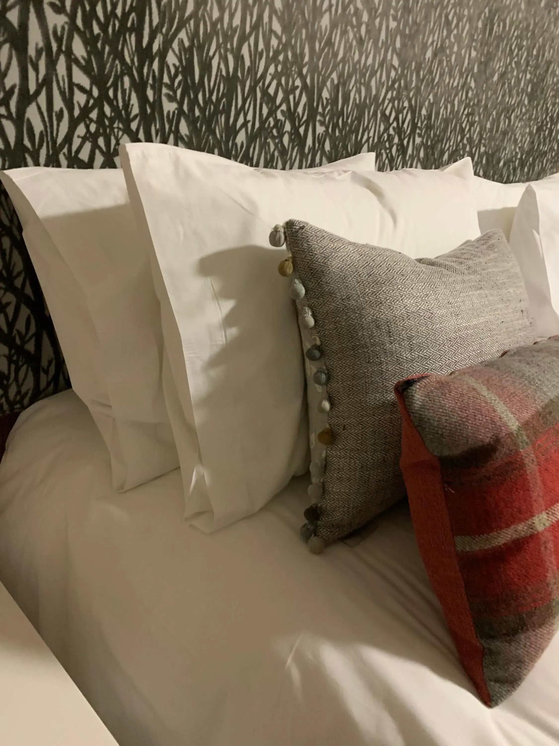 Double or Twin Room with Private Bathroom in the house@glenbarr Double or Twin Room with Private Bathroom in the house@glenbarr