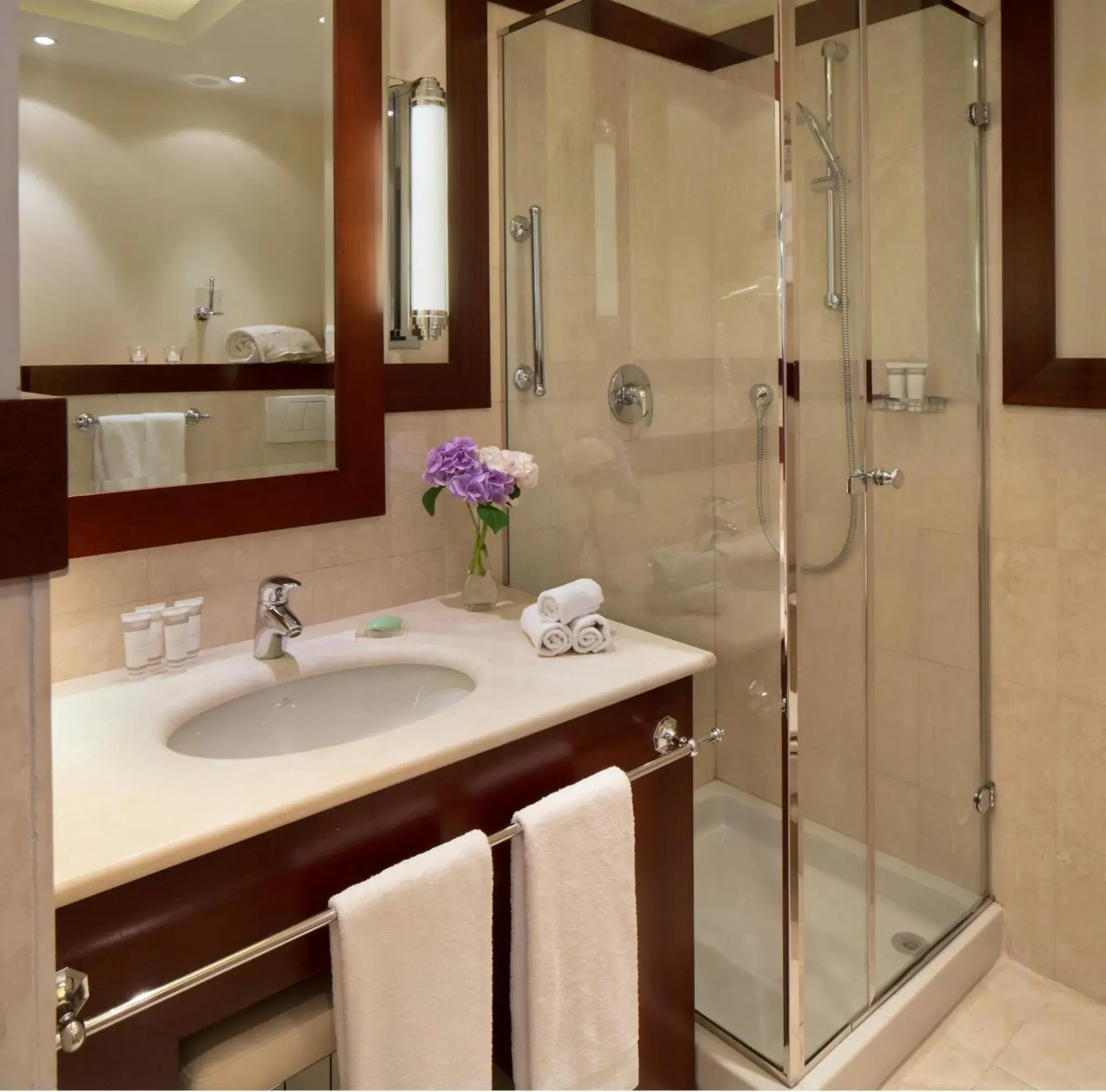 Deluxe Double Room in Starhotels Excelsior Deluxe Double Room in Starhotels Excelsior