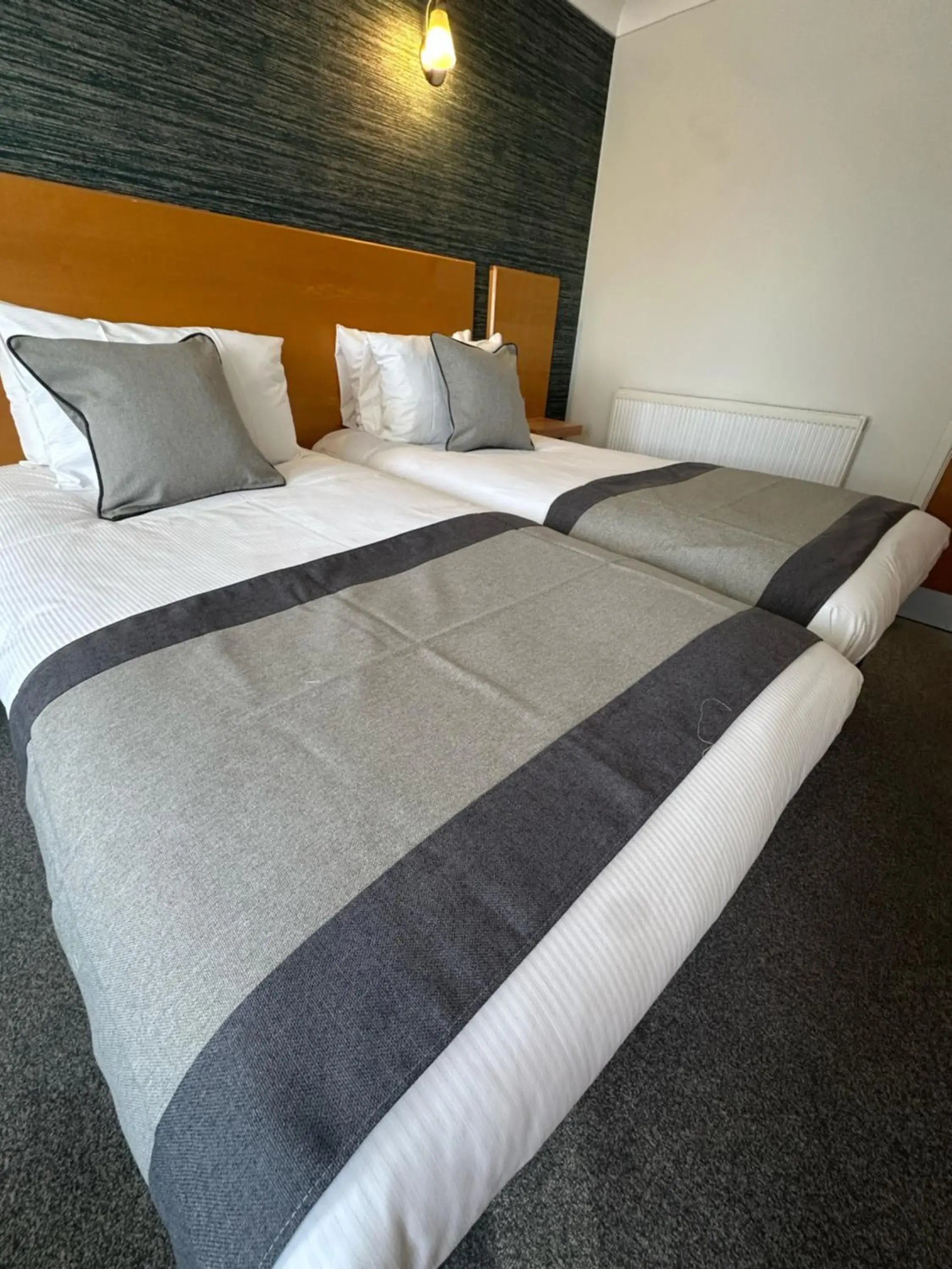 Twin Room in Stradey Park Hotel Twin Room in Stradey Park Hotel