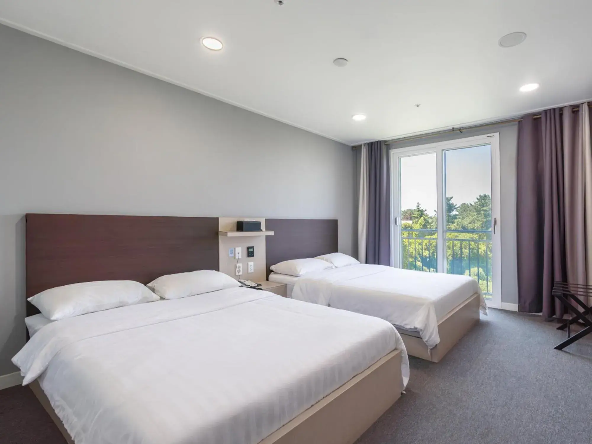 Deluxe Twin Room in Cordelia Hotel Deluxe Twin Room in Cordelia Hotel