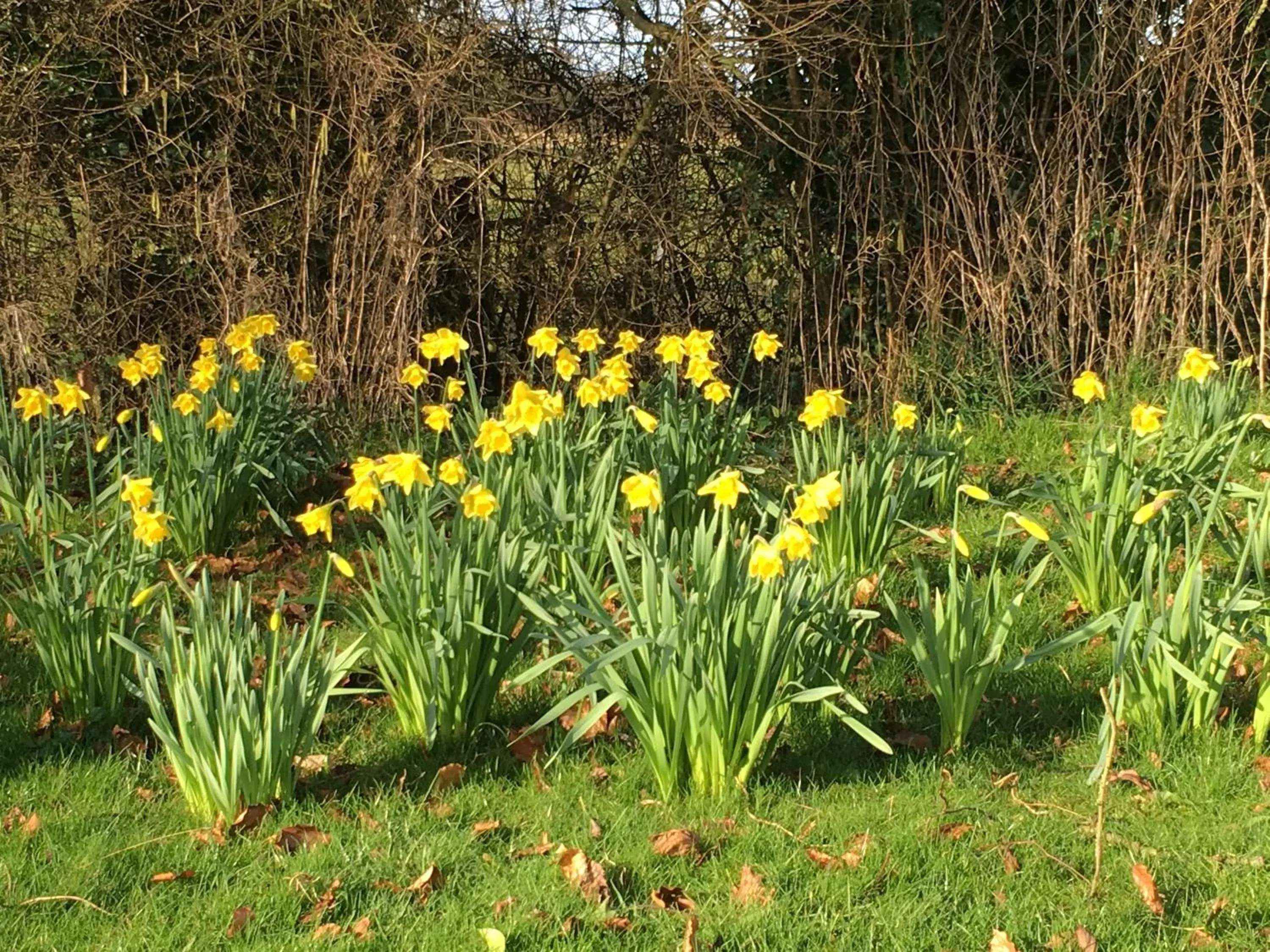 Wood Farm Kerdiston Wood Farm Kerdiston