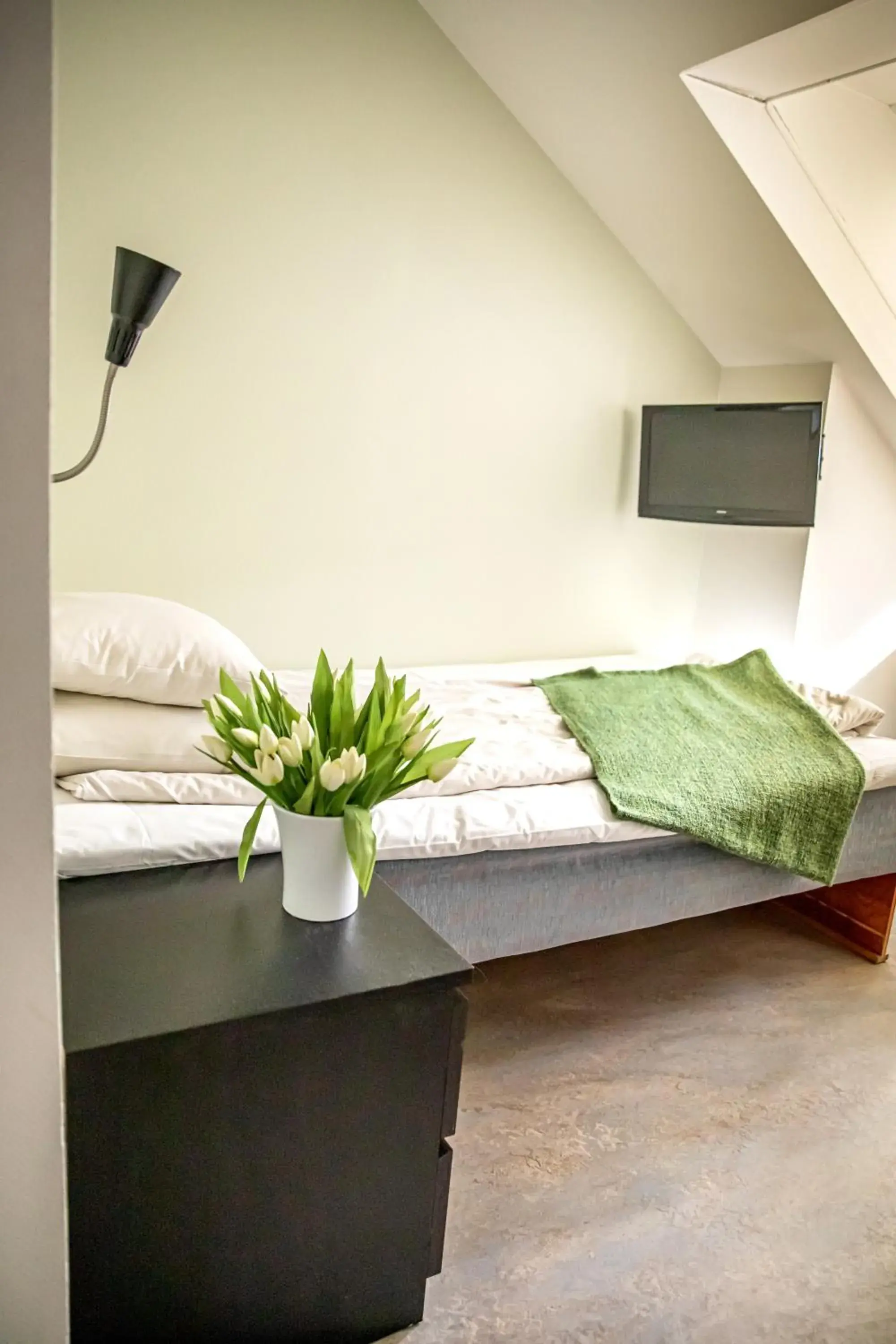 Single Room with Sofa Bed in Hotel Kupolen Single Room with Sofa Bed in Hotel Kupolen