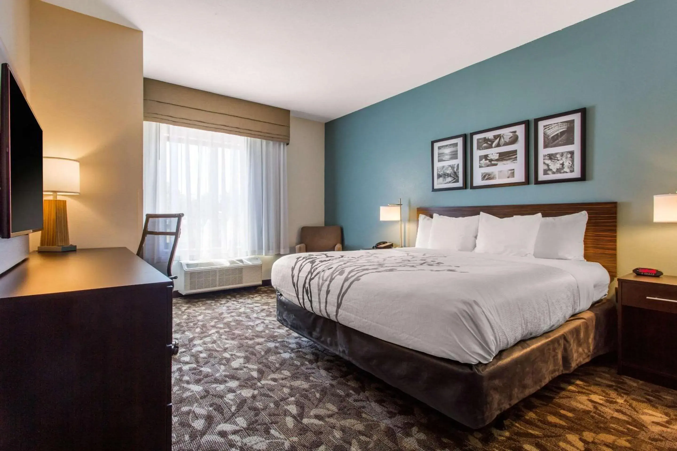 King Room - Disability Access/Non-Smoking in Sleep Inn & Suites Middletown - Goshen King Room - Disability Access/Non-Smoking in Sleep Inn & Suites Middletown - Goshen