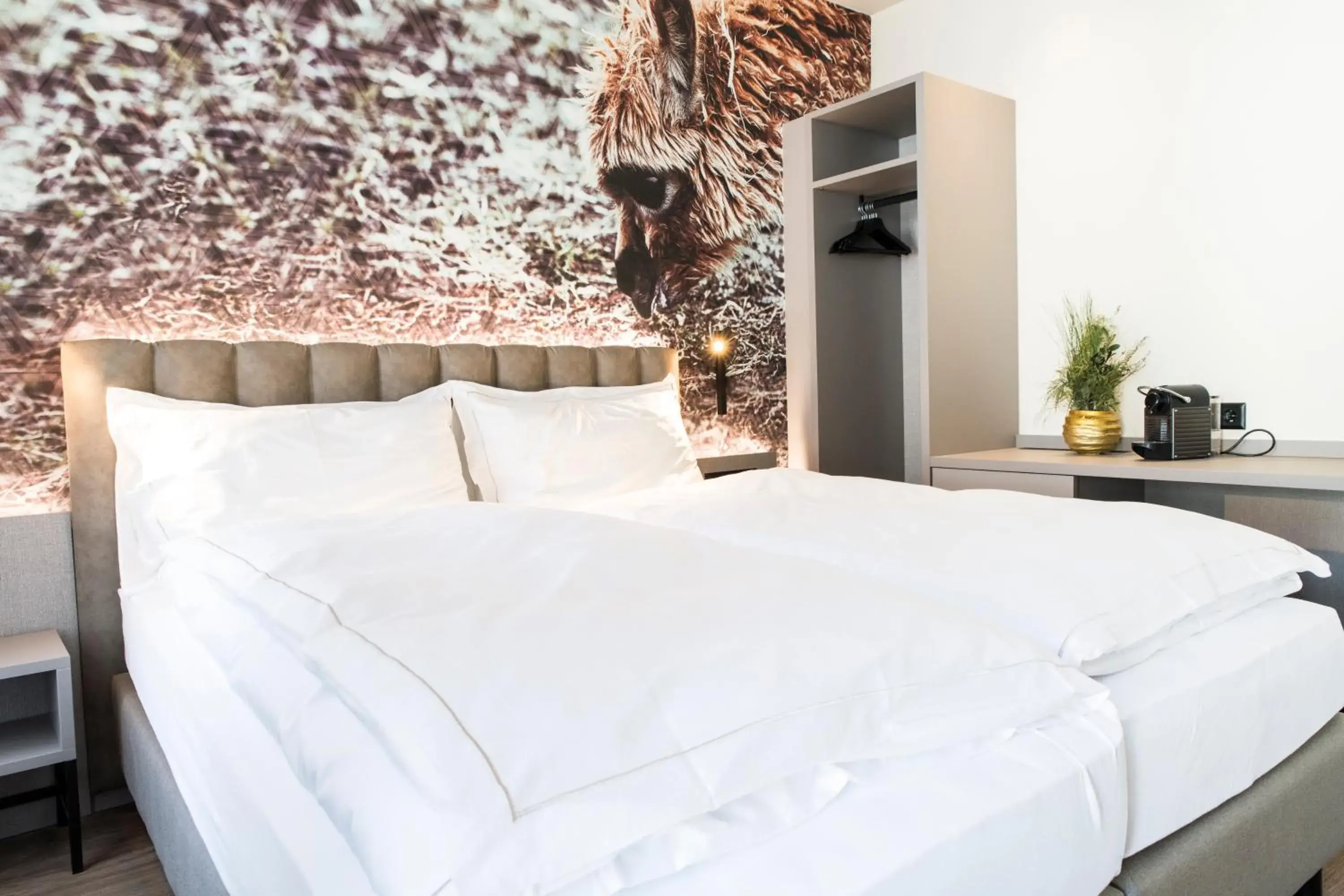 Standard Suite - single occupancy in Adaastra Boutique Hotel Standard Suite - single occupancy in Adaastra Boutique Hotel