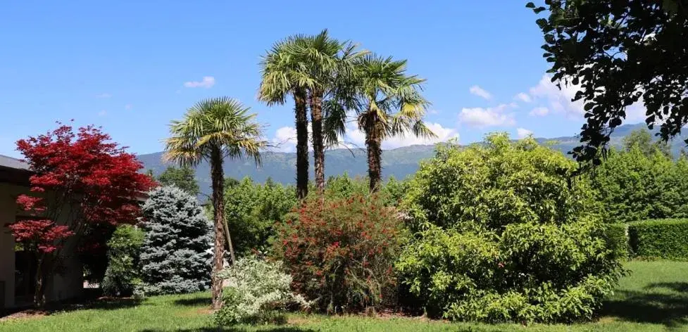 Deluxe Room - single occupancy in Hotel Luna Deluxe Room - single occupancy in Hotel Luna