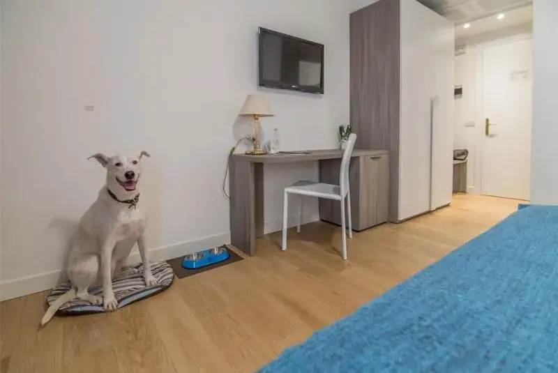 Double Room - single occupancy in Hotel Luna Double Room - single occupancy in Hotel Luna